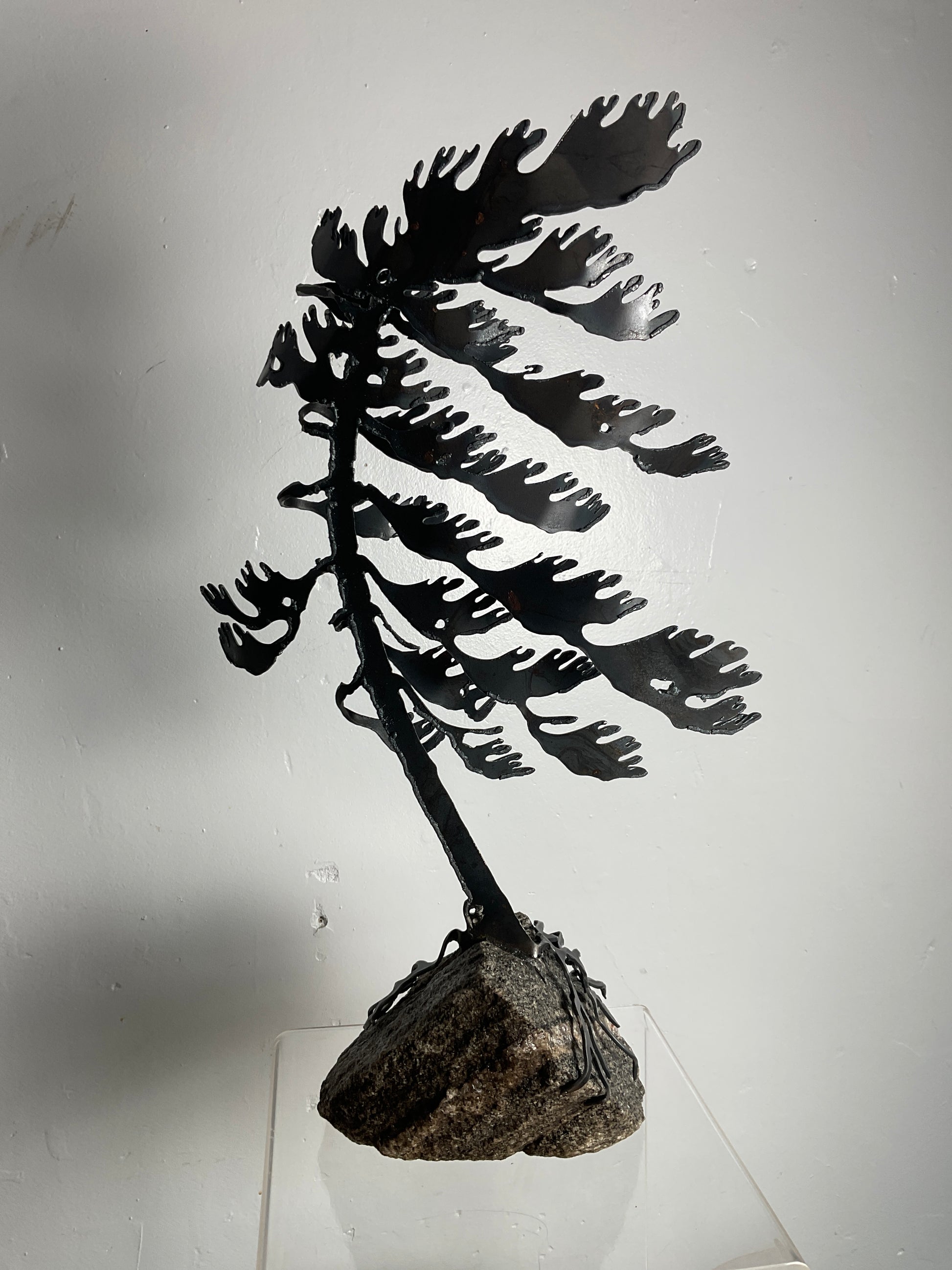 Cathy Mark windswept pine on granite