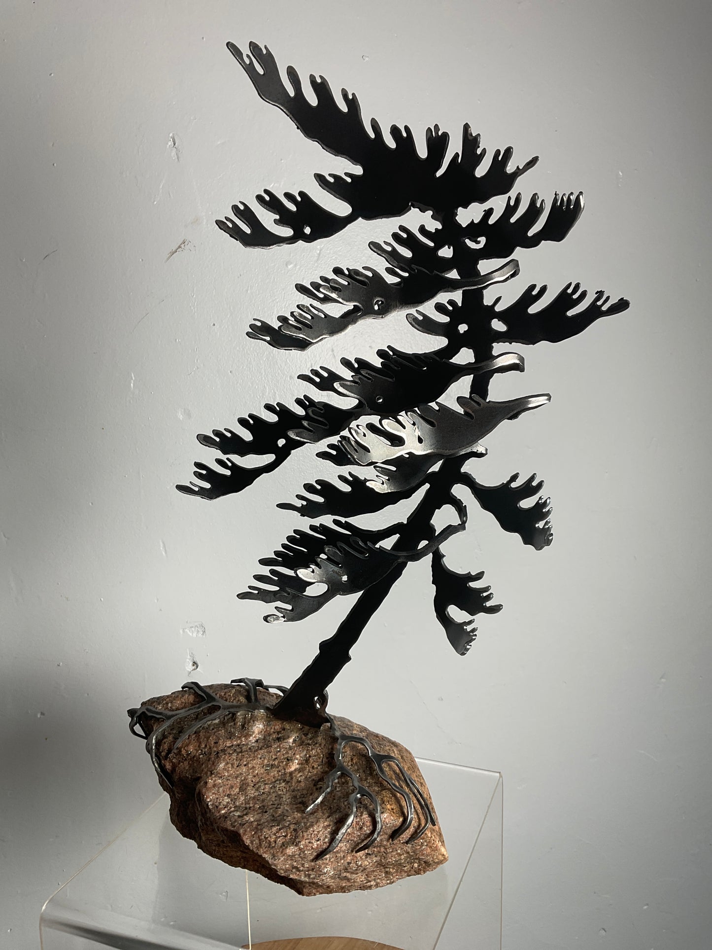 Cathy Mark windswept pine on granite