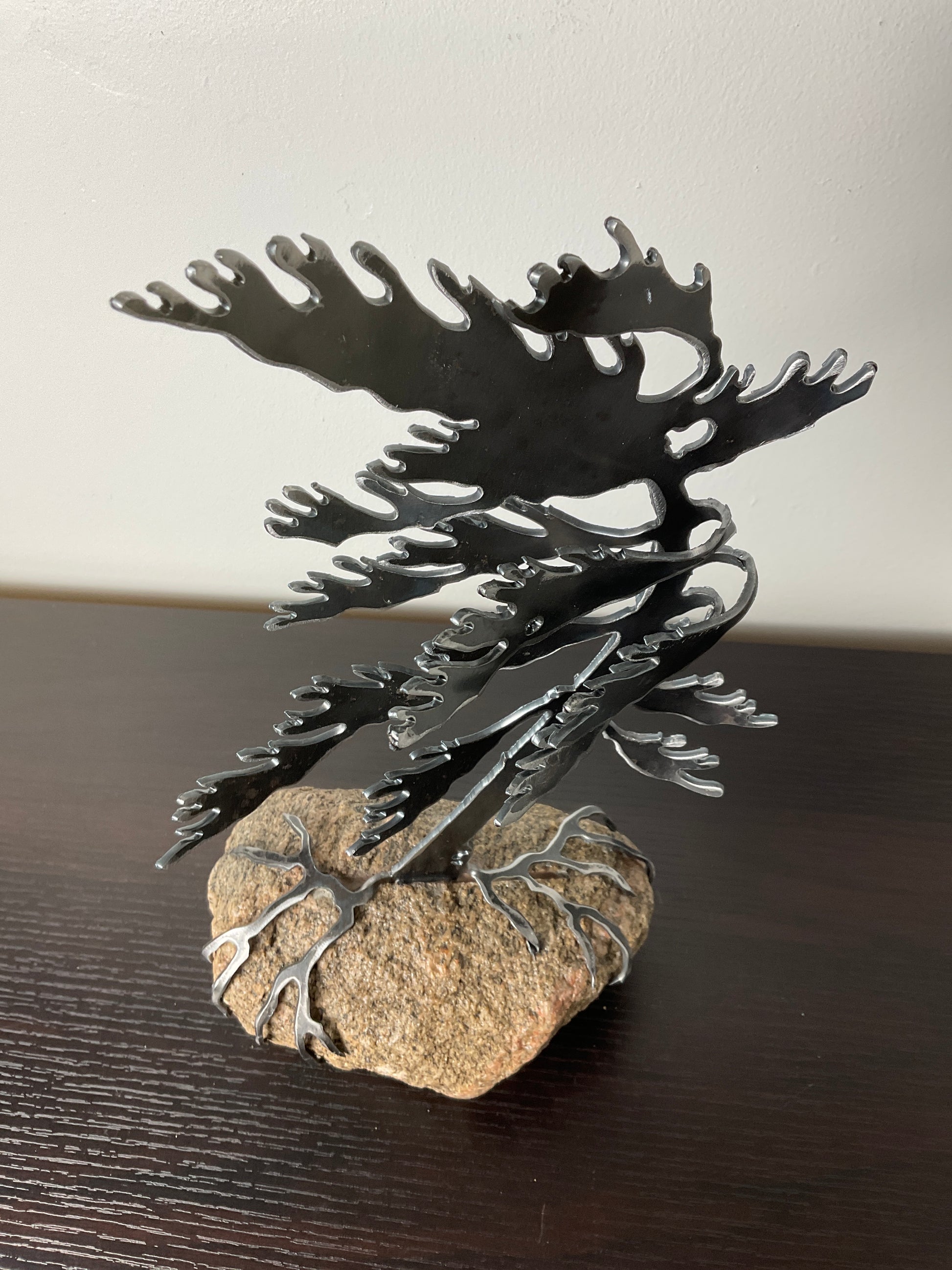 Cathy Mark windswept tree on granite