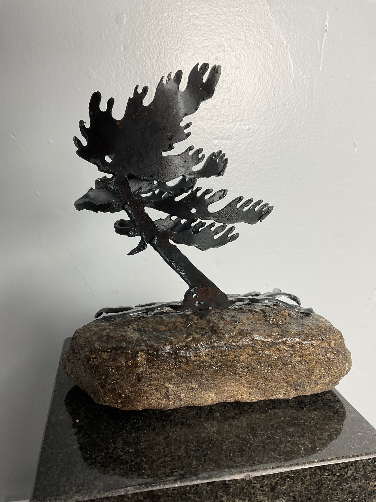 Cathy Mark windswept pine on granite