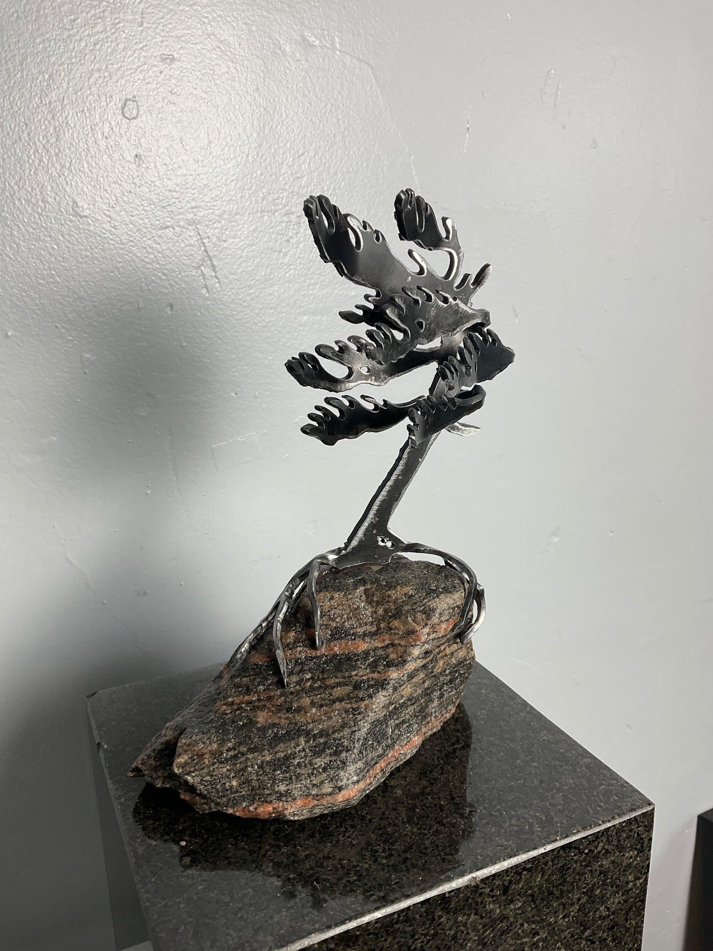 Cathy Mark windswept tree on granite