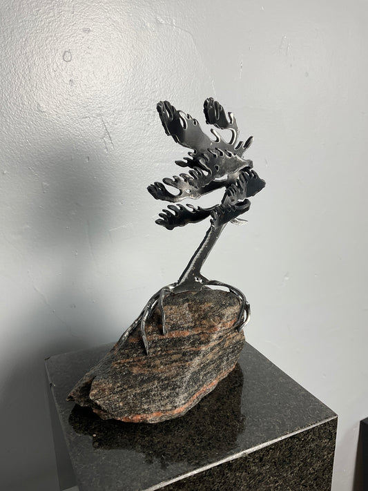 Cathy Mark windswept tree on granite