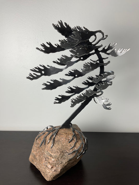 Cathy Mark windswept tree on granite