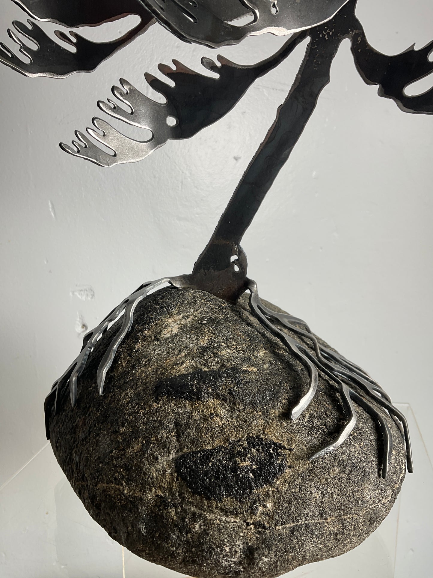 Cathy Mark windswept pine on granite
