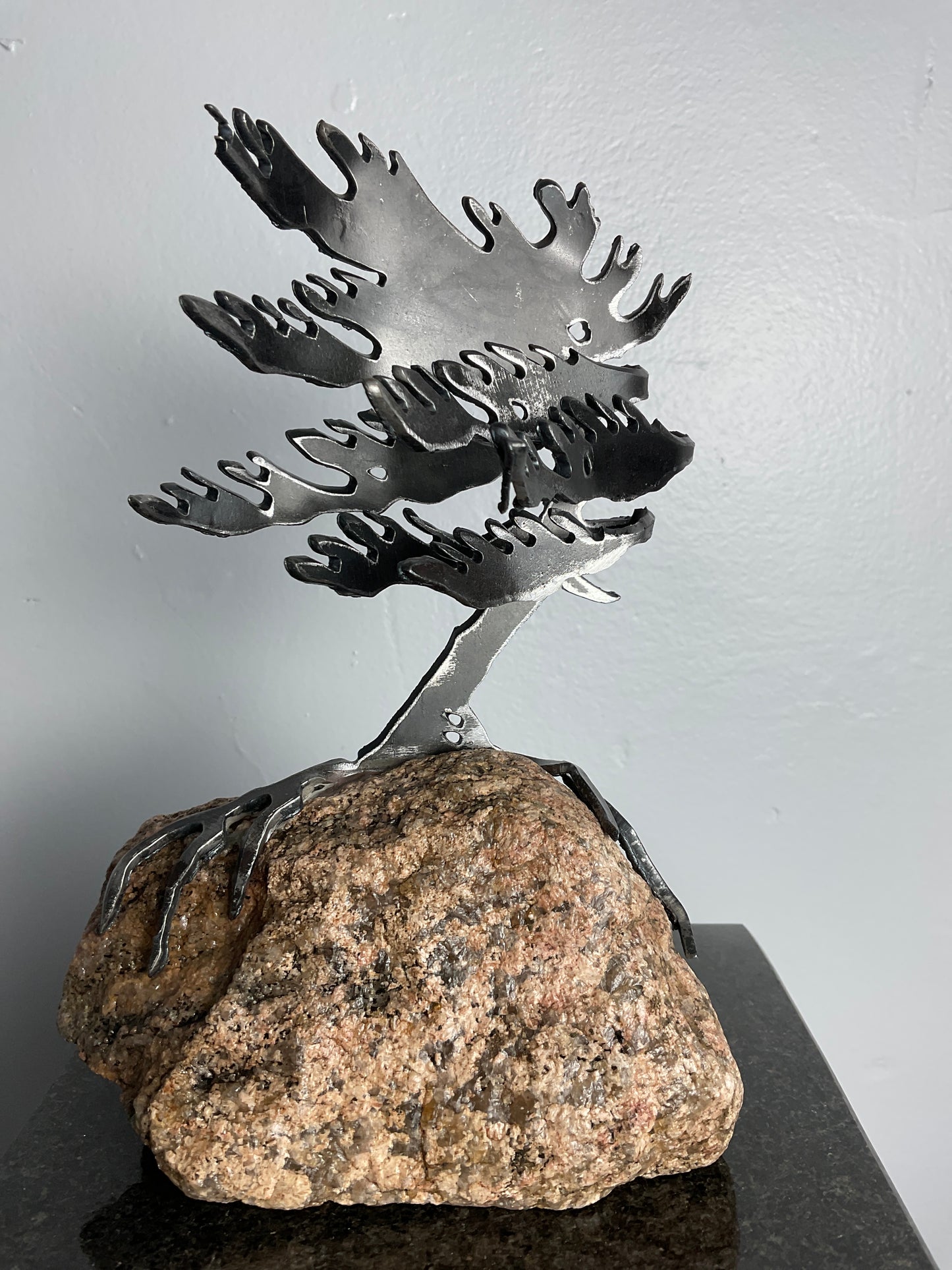 Cathy Mark windswept pine on granite