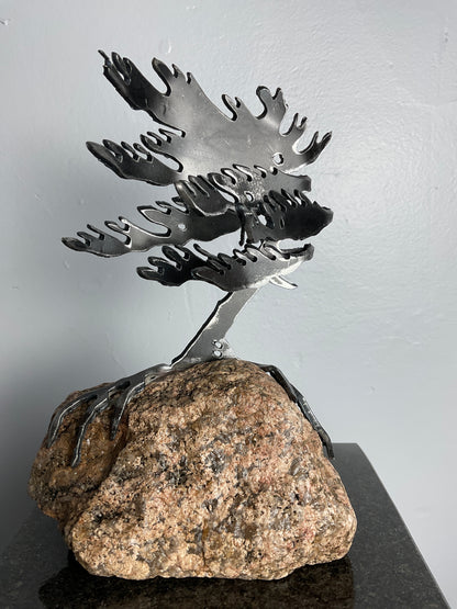 Cathy Mark windswept pine on granite
