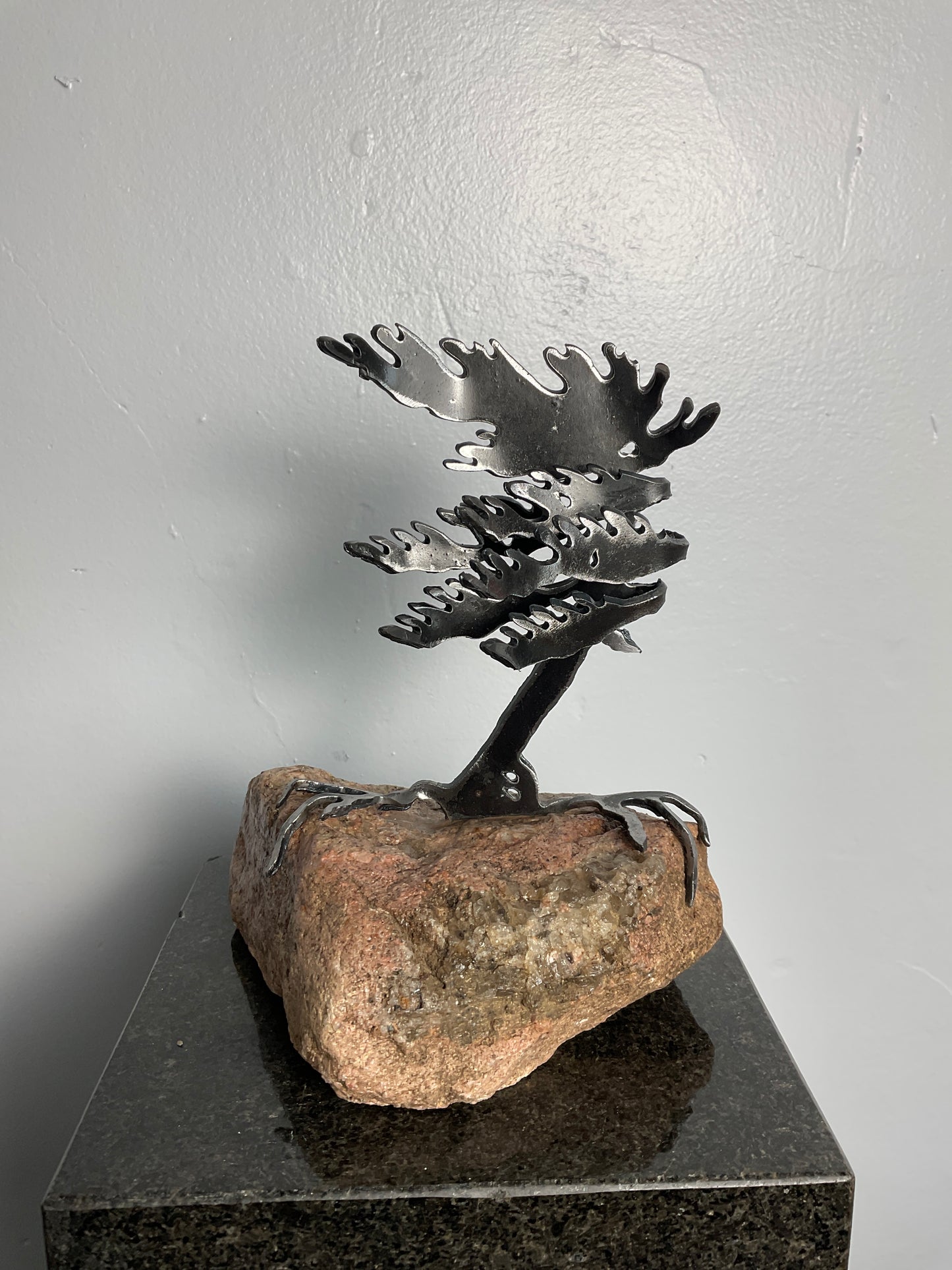 Cathy Mark windswept tree on stone