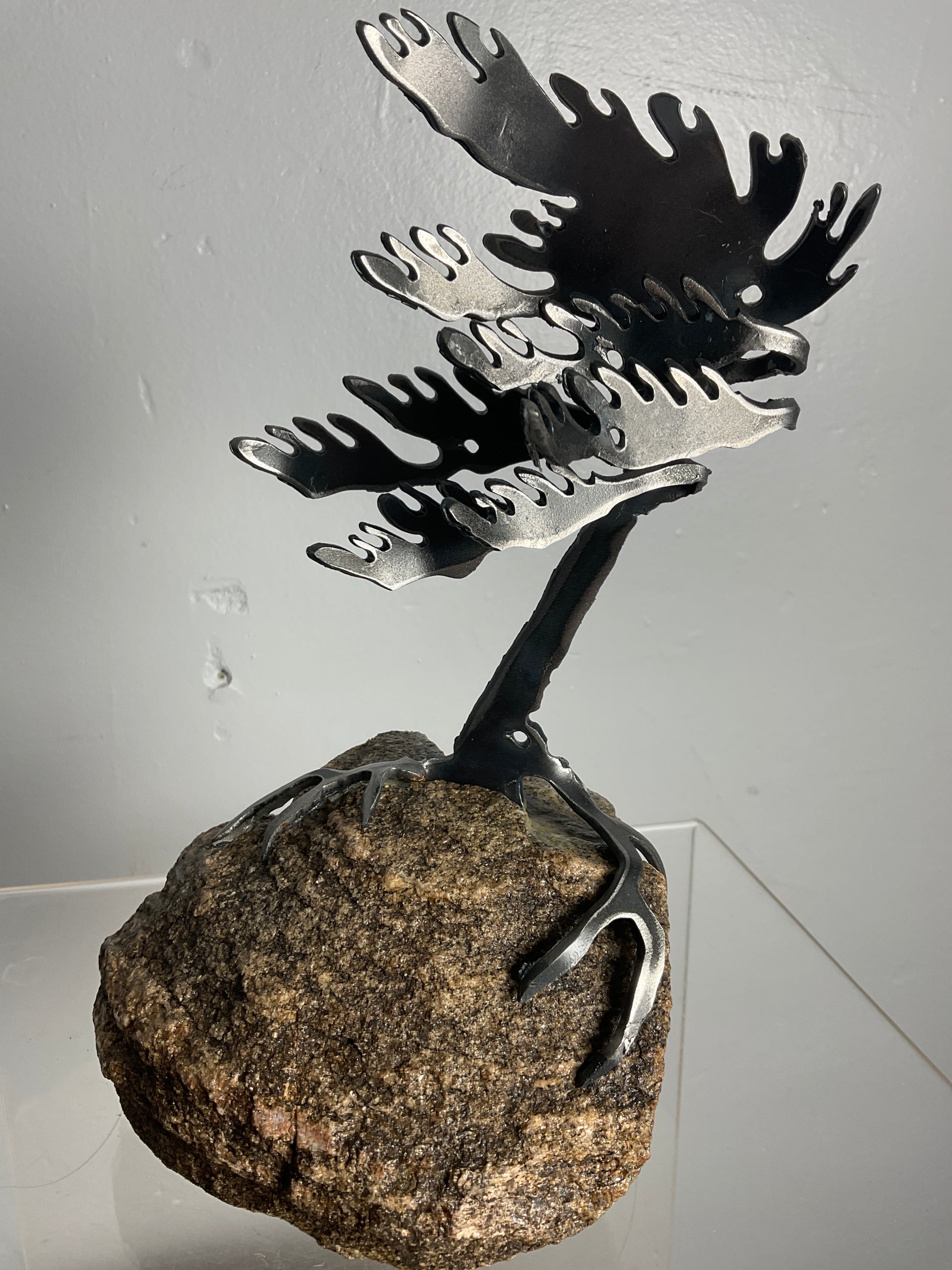 Cathy Mark windswept pine on granite