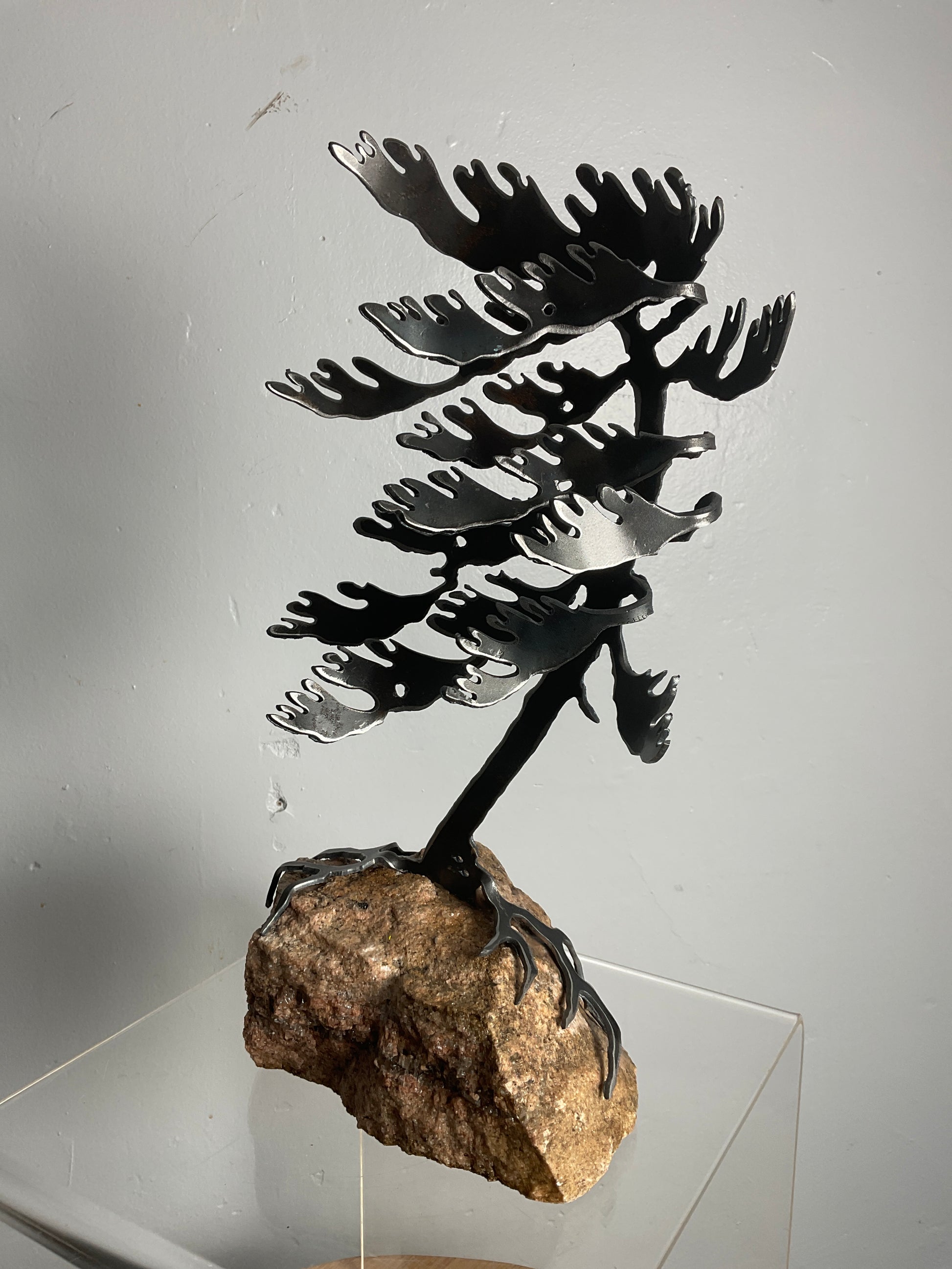 Cathy Mark windswept pine on stone