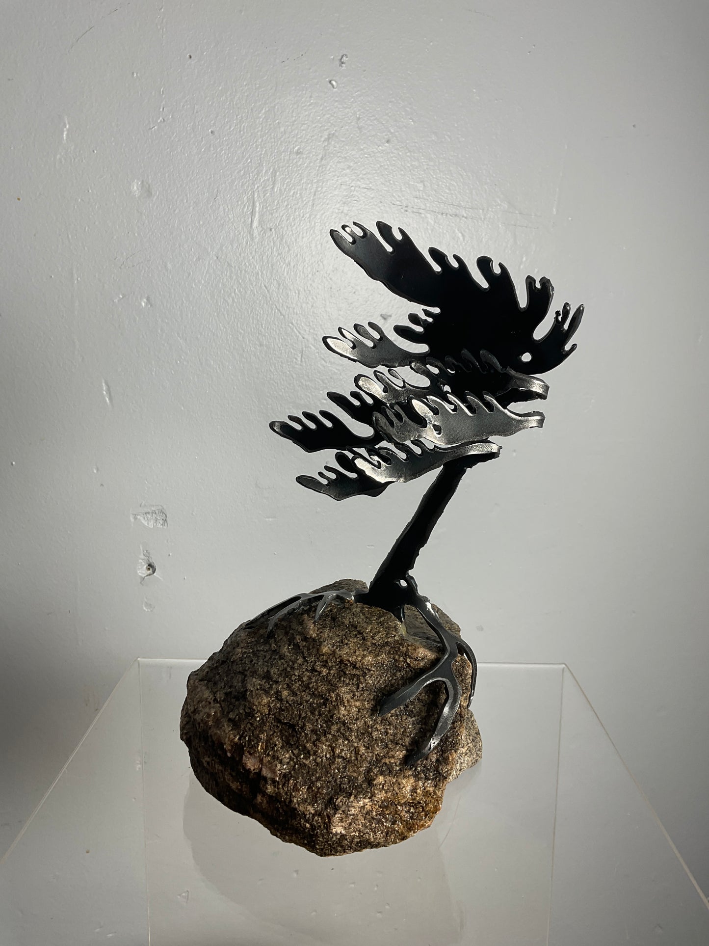 Cathy Mark windswept pine on granite