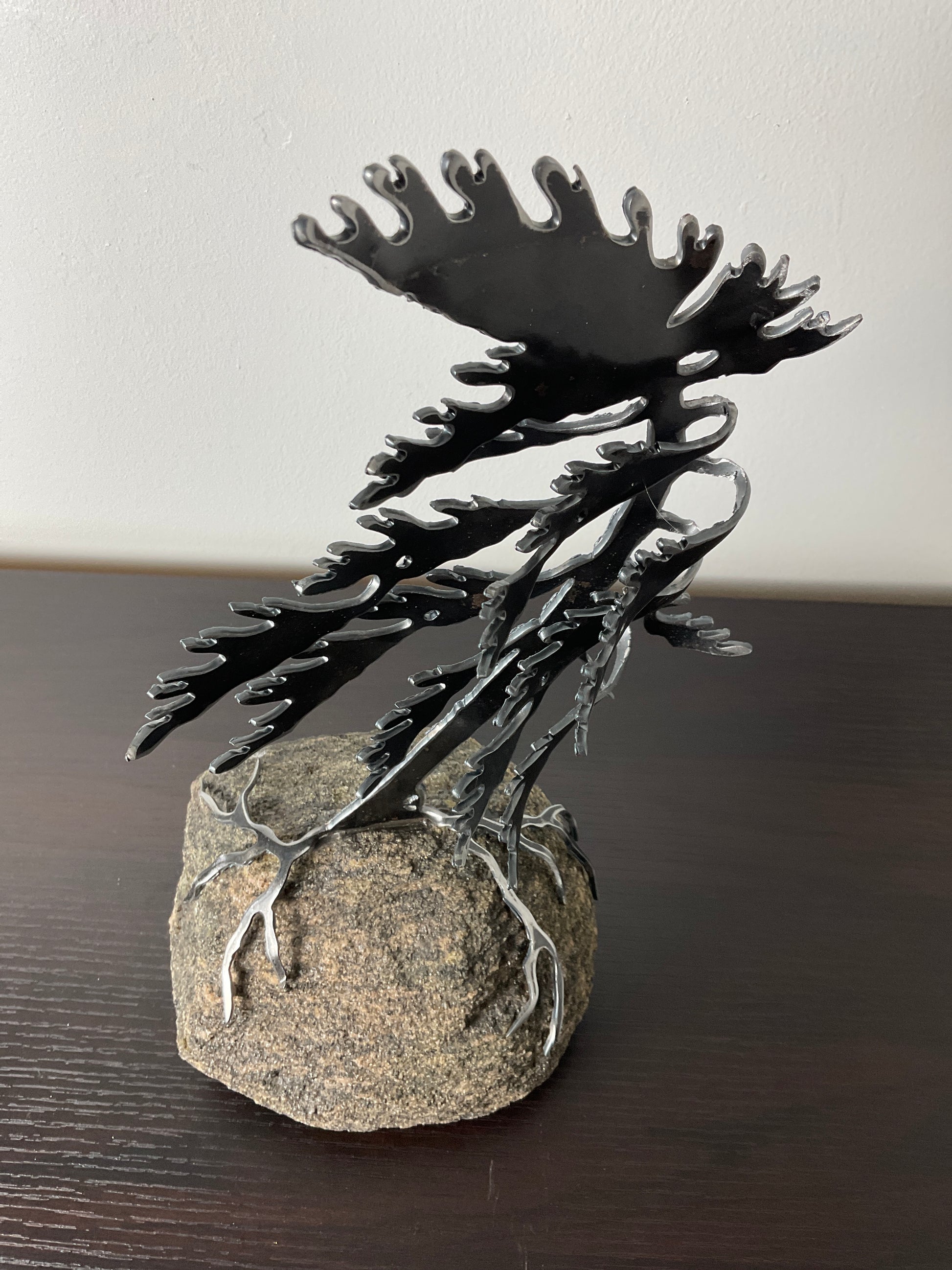 Cathy Mark windswept tree on granite