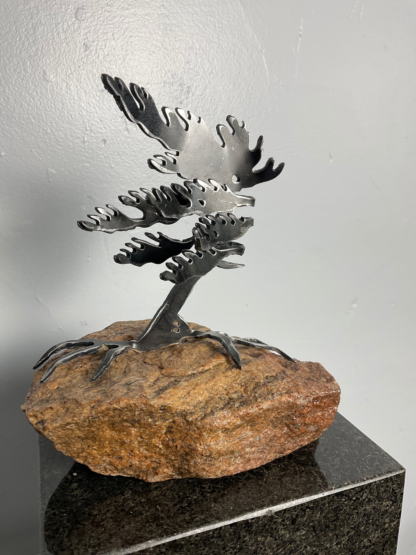 Cathy Mark windswept tree on granite