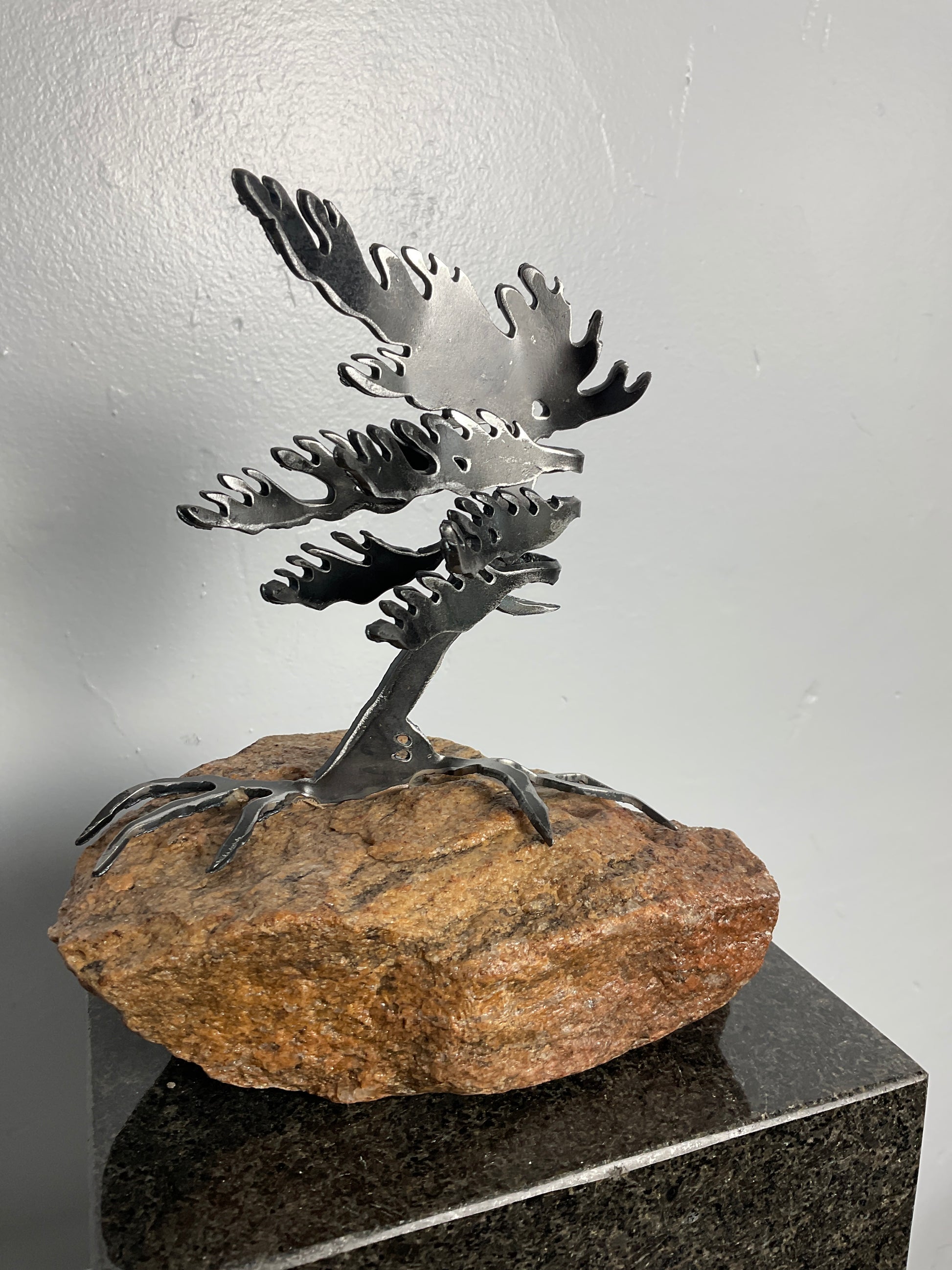 Cathy Mark windswept tree on granite