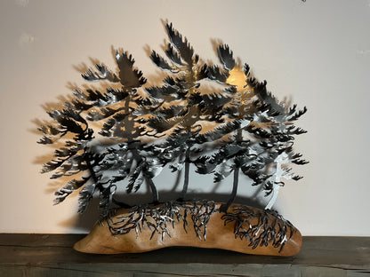 Cathy Mark windswept trees on oak