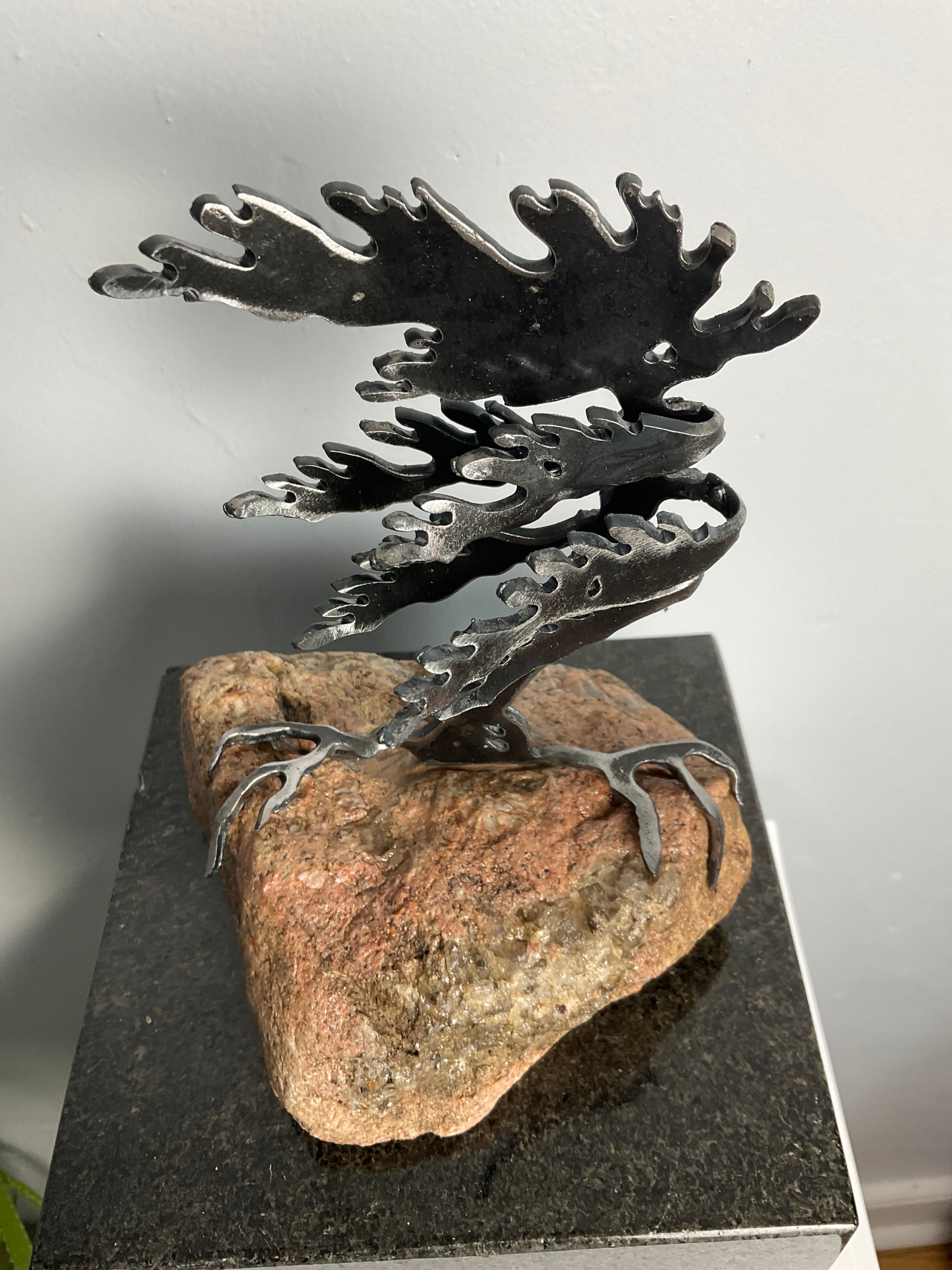 Cathy Mark windswept tree on stone