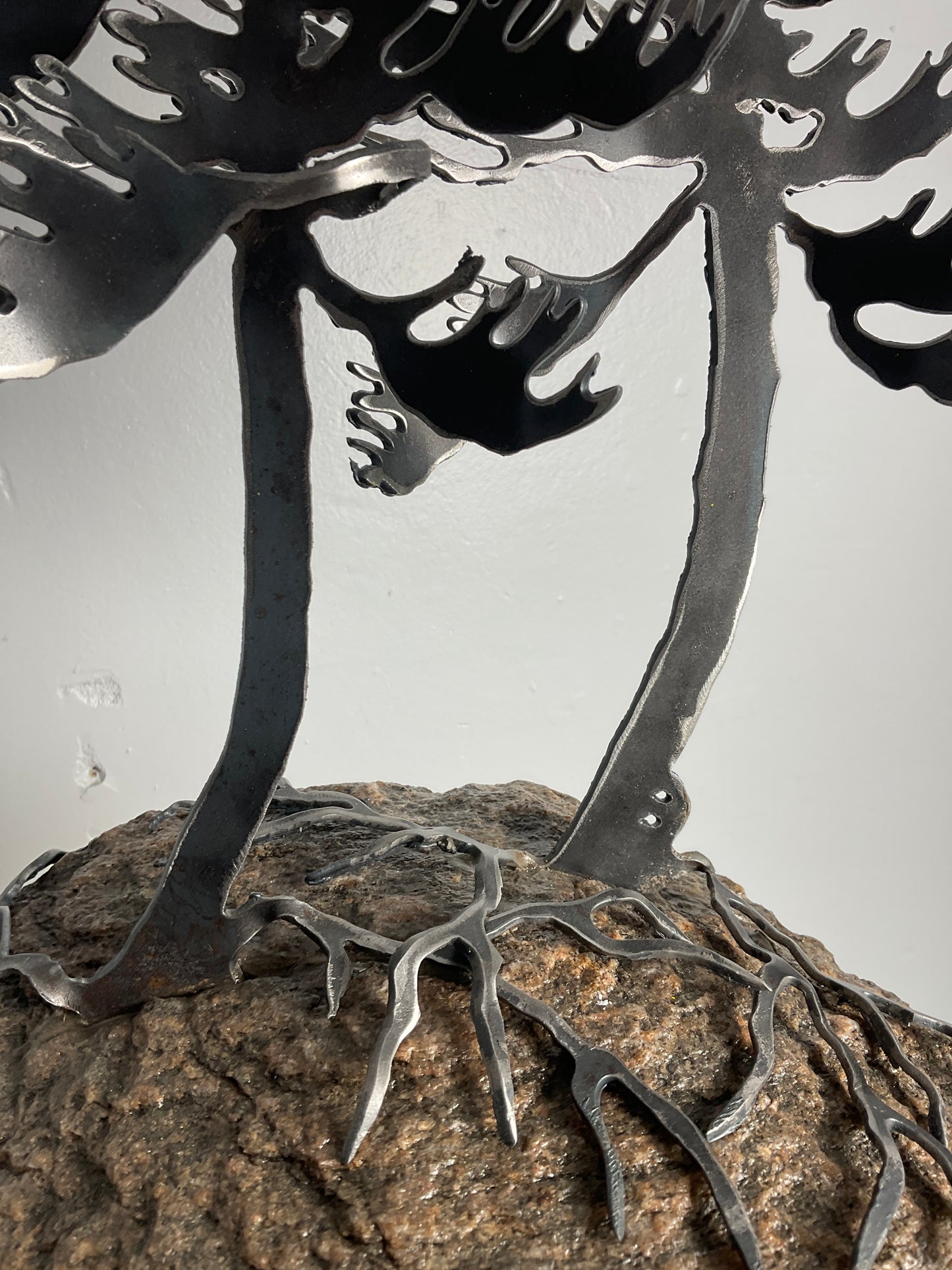Cathy Mark windswept pine on granite