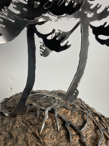 Cathy Mark windswept pine on granite