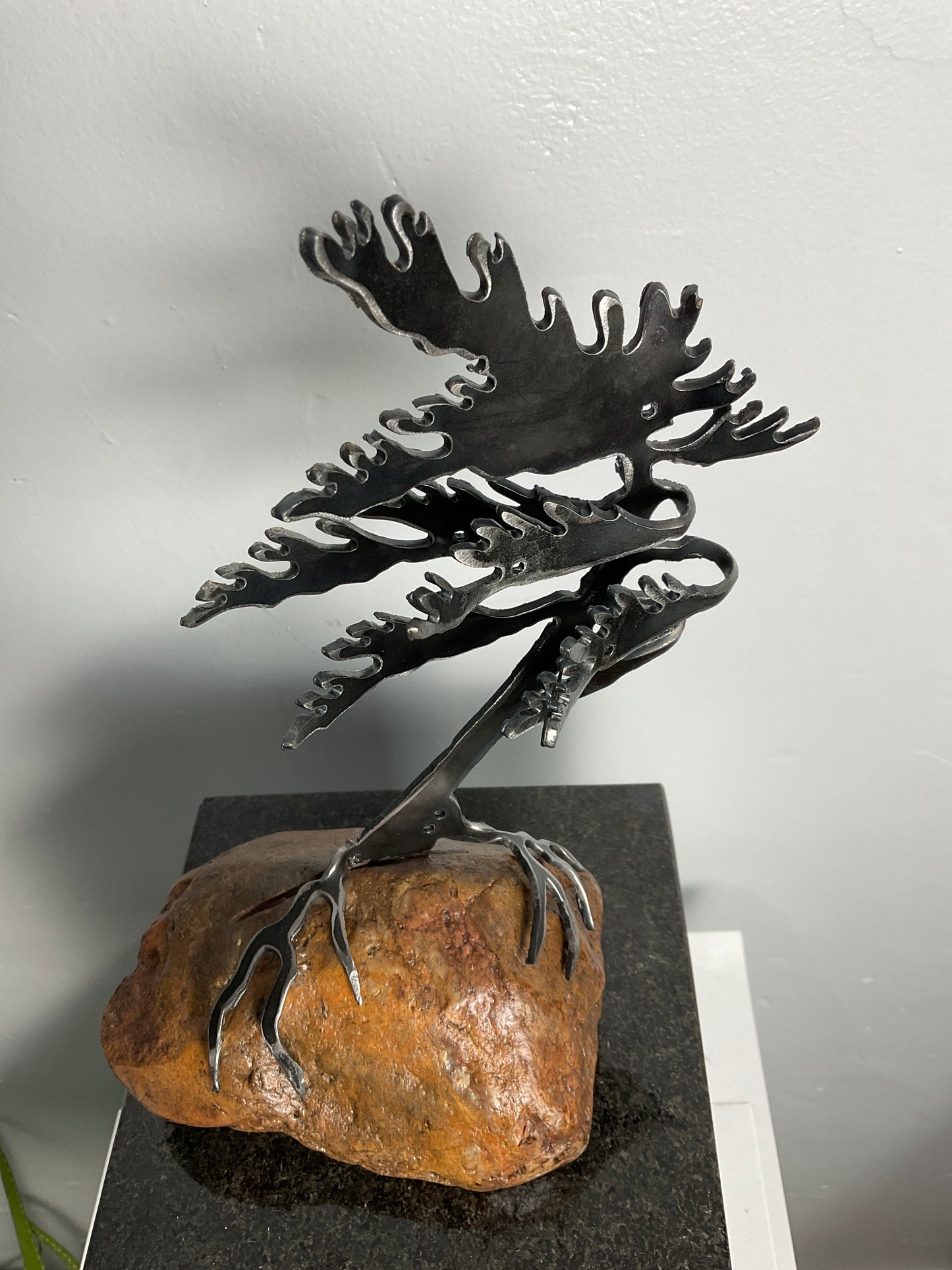 Cathy Mark windswept pine on granite