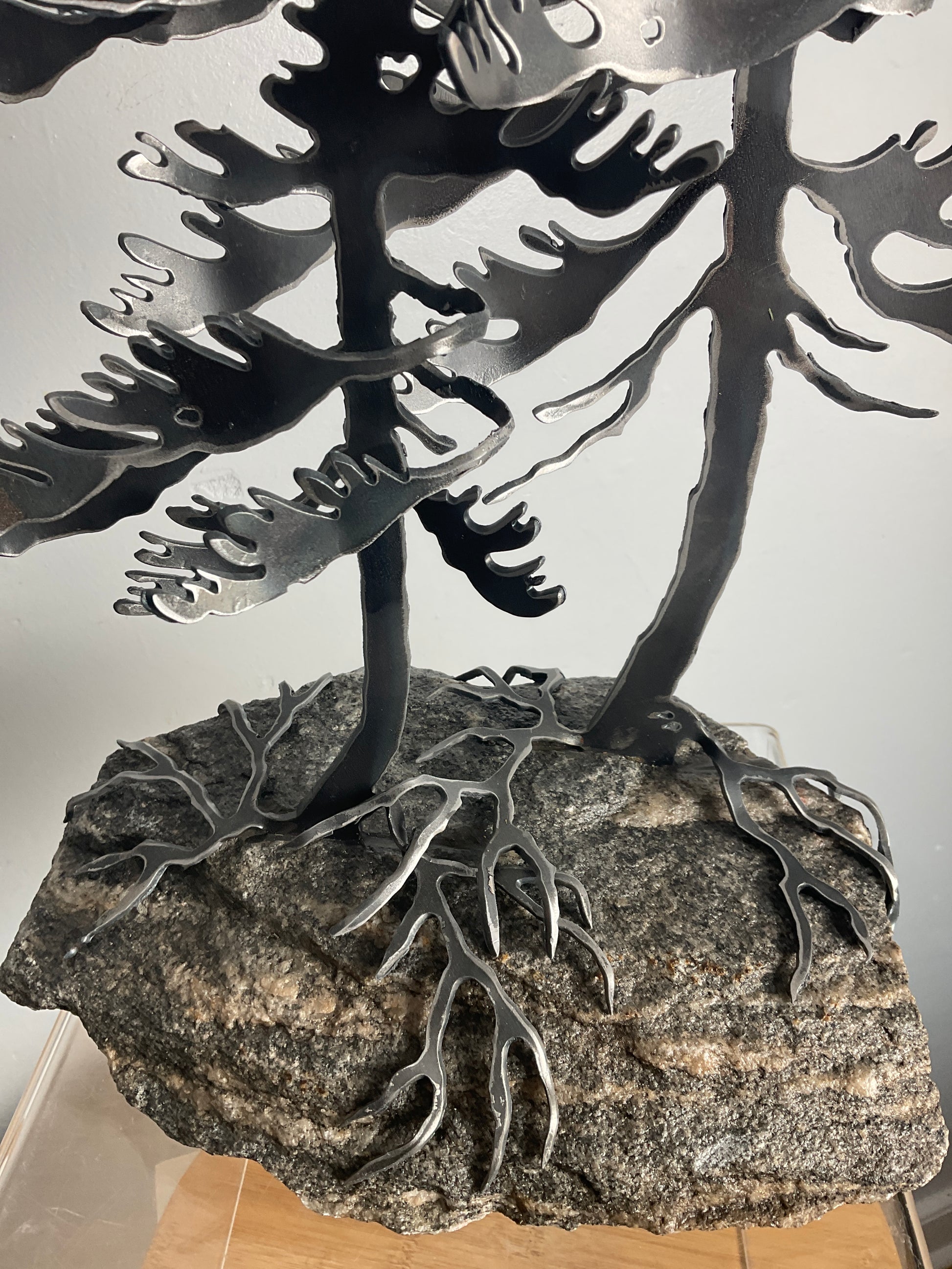 Cathy Mark windswept pine on granite