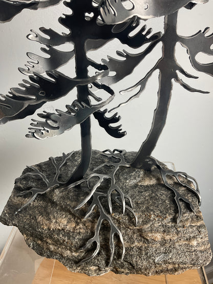 Cathy Mark windswept pine on granite