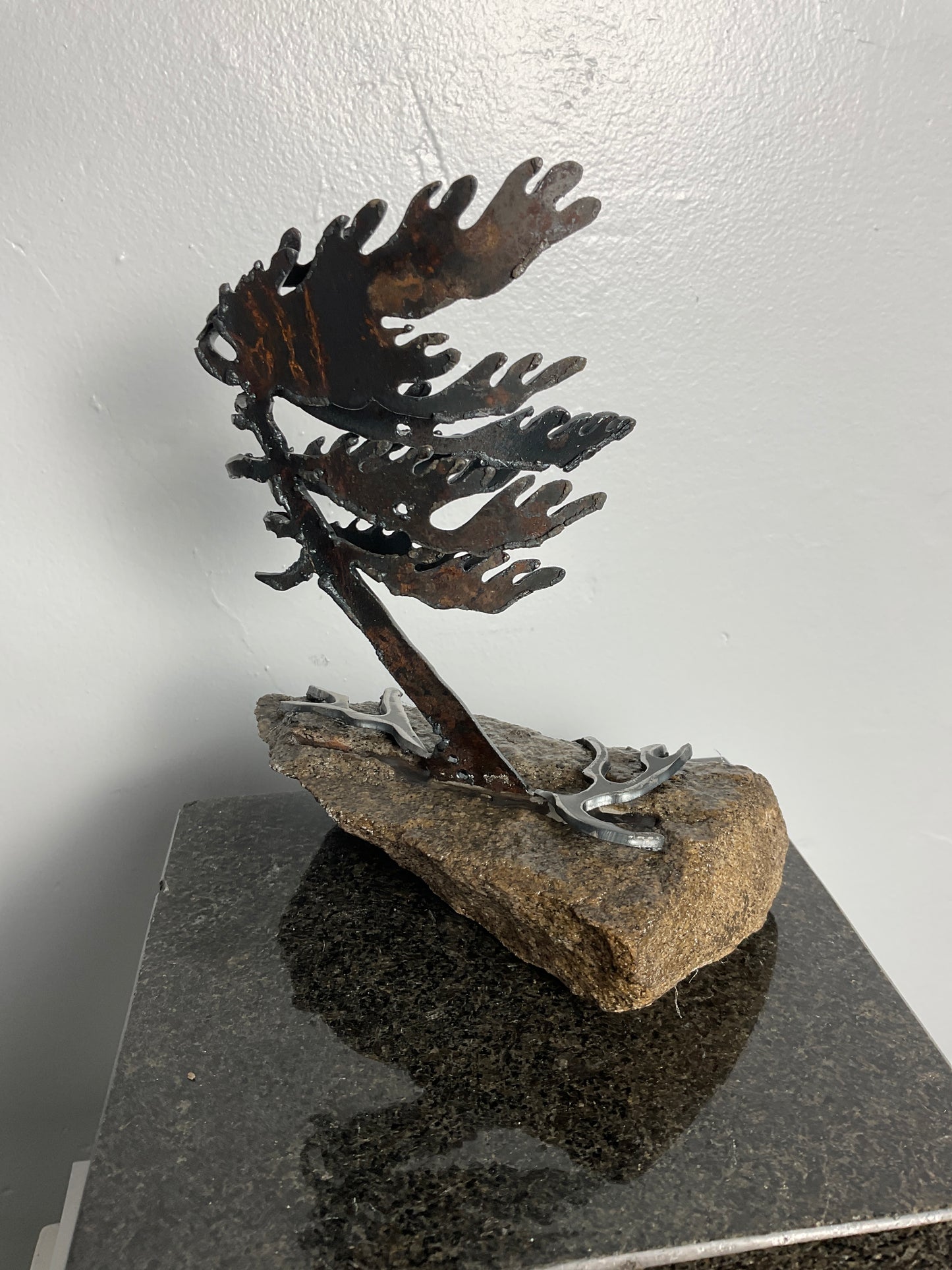 Cathy Mark windswept pine on granite