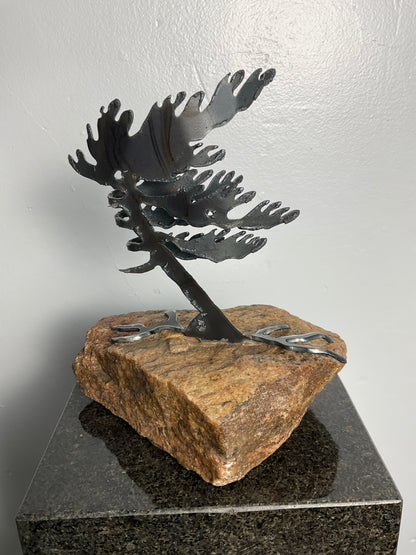 Cathy Mark windswept tree on granite