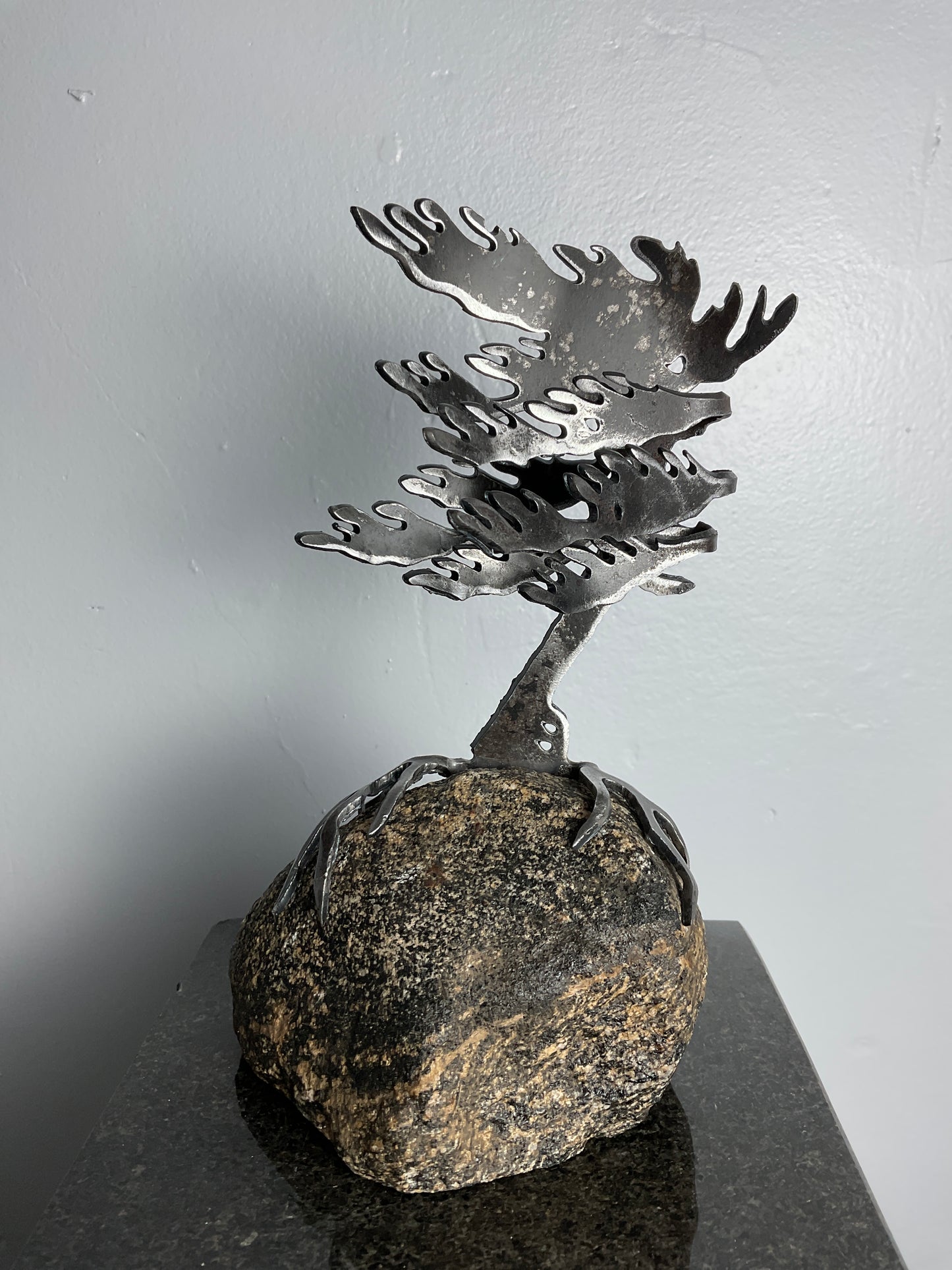 Cathy Mark windswept pine on granite