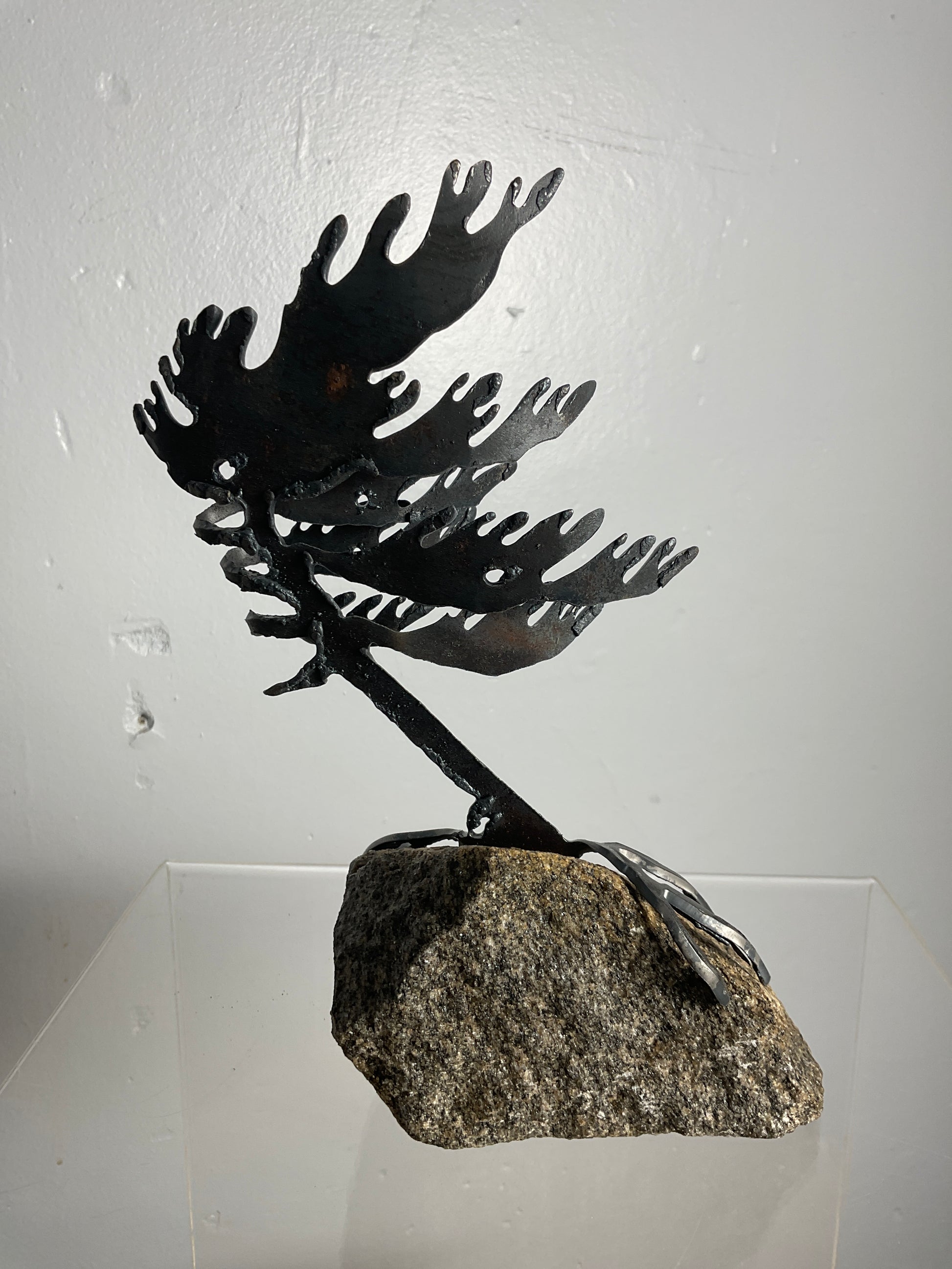 Cathy Mark windswept pine on granite