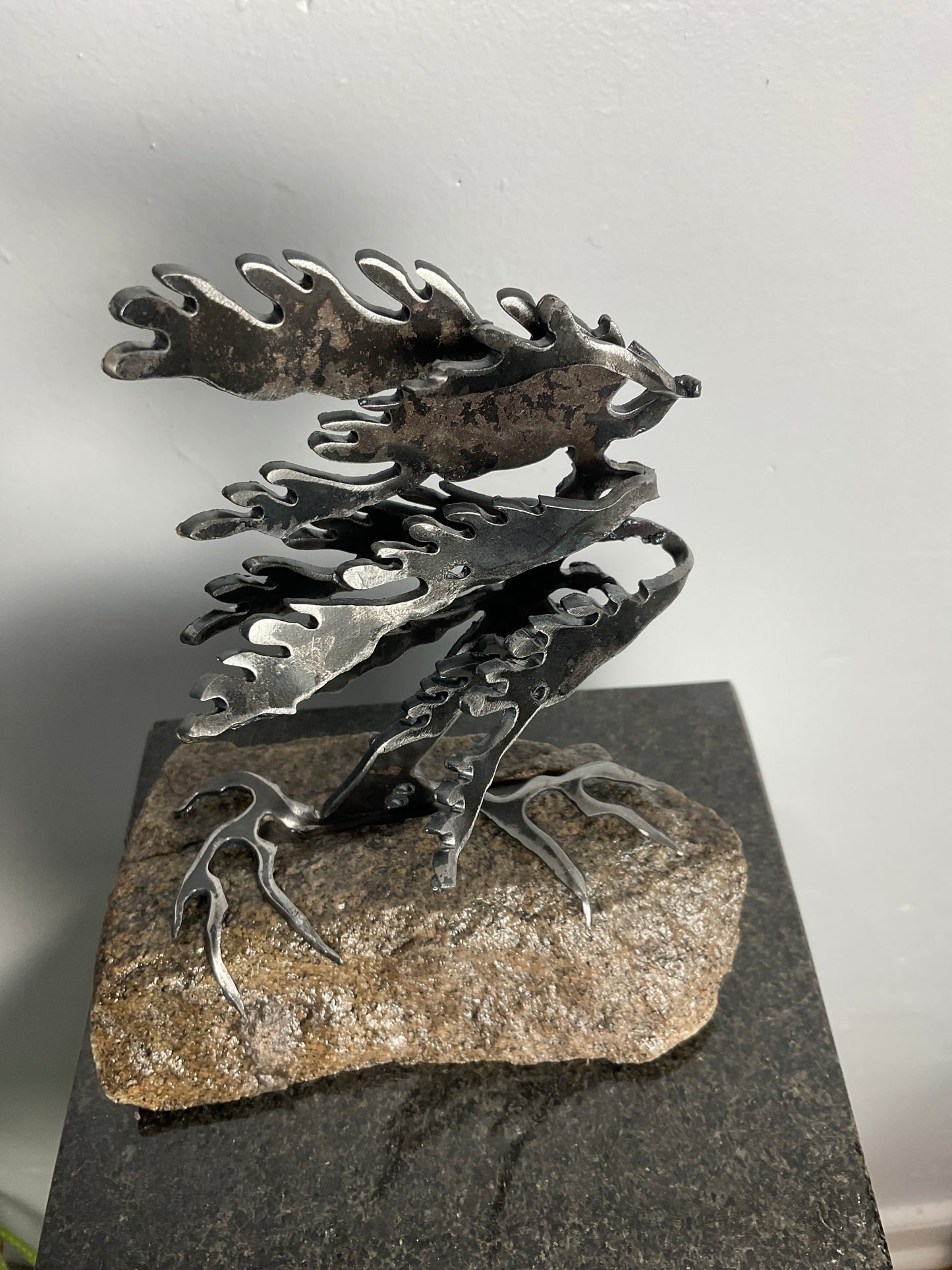 Cathy Mark windswept pine on granite