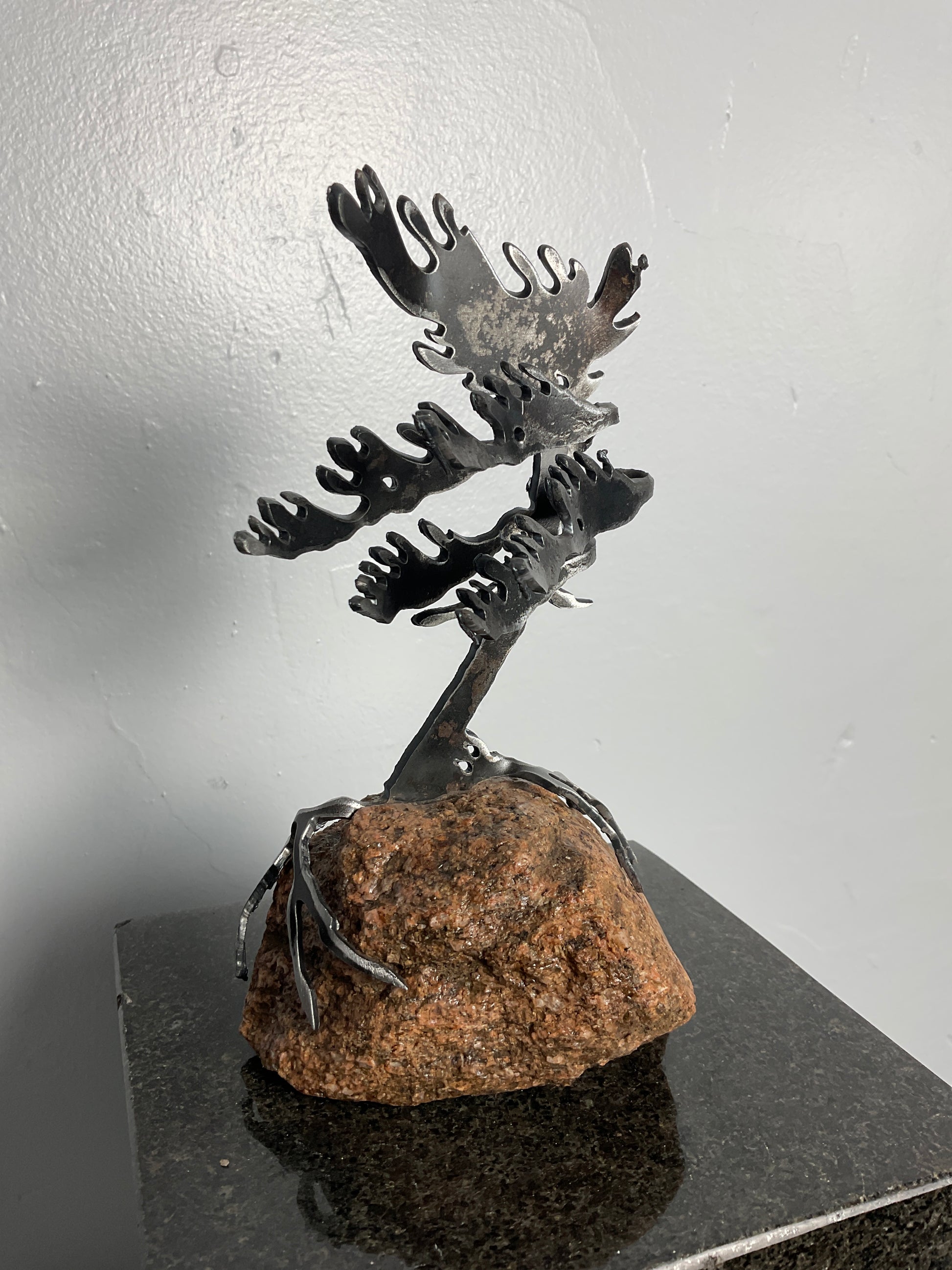 Cathy Mark windswept tree on stone