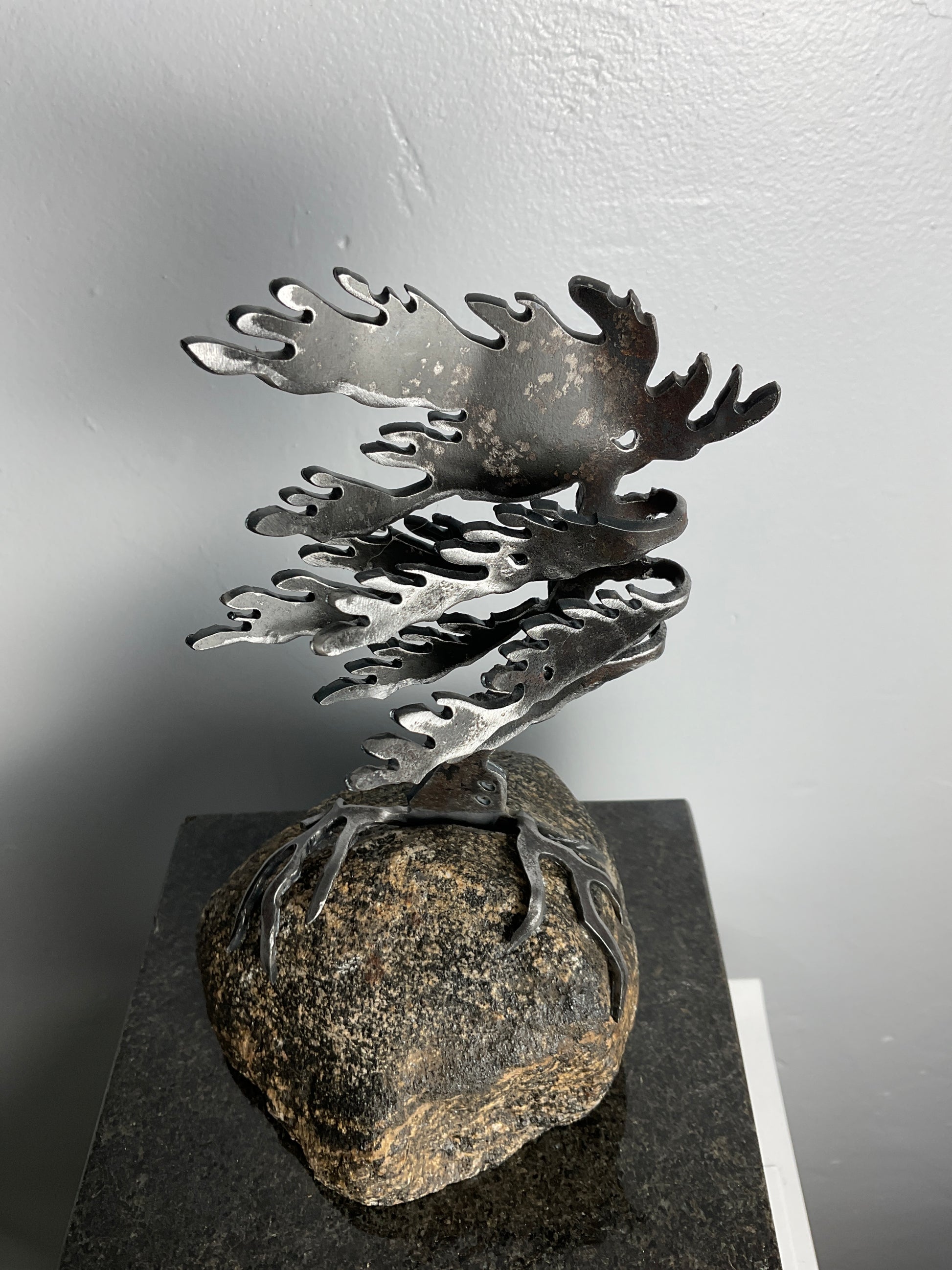 Cathy Mark windswept pine on granite