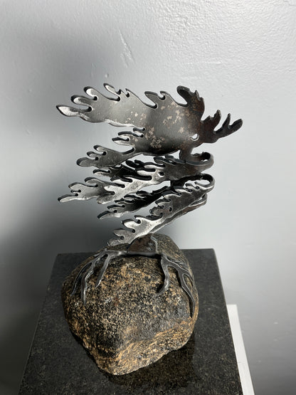 Cathy Mark windswept pine on granite