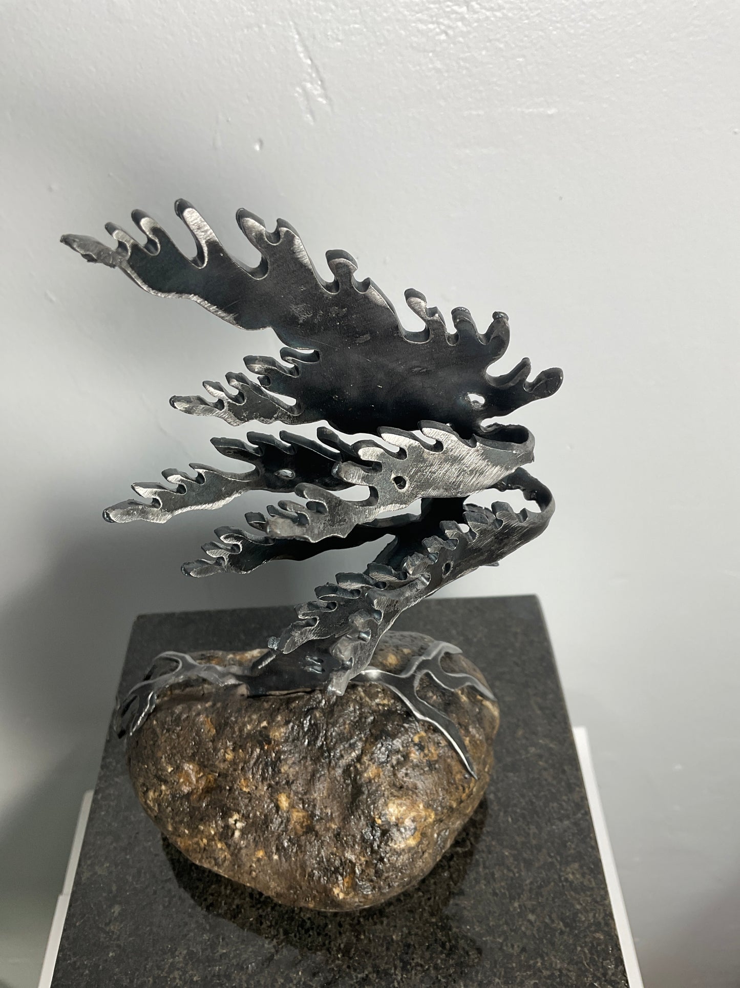 Cathy Mark windswept tree on granite