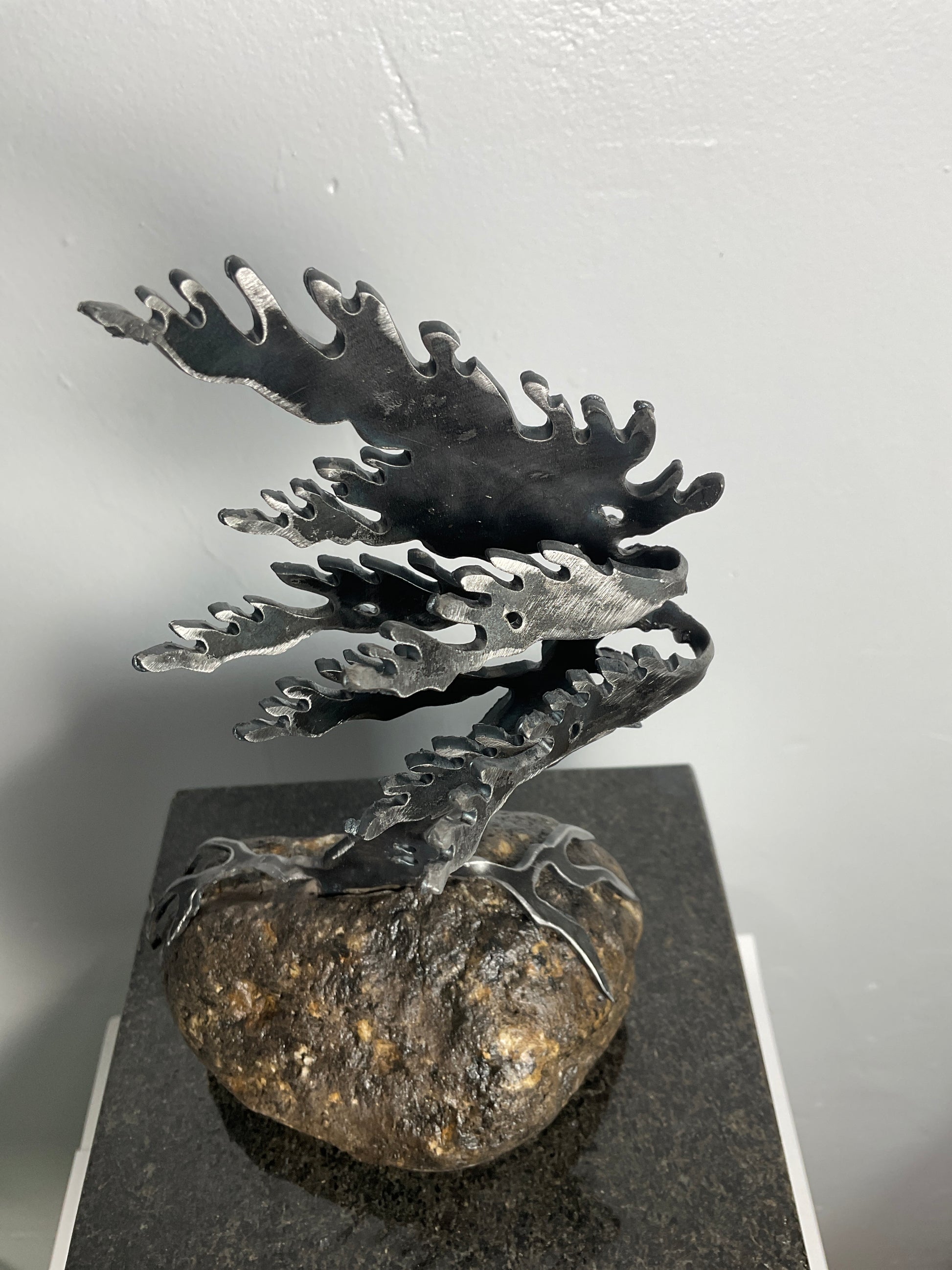 Cathy Mark windswept tree on granite