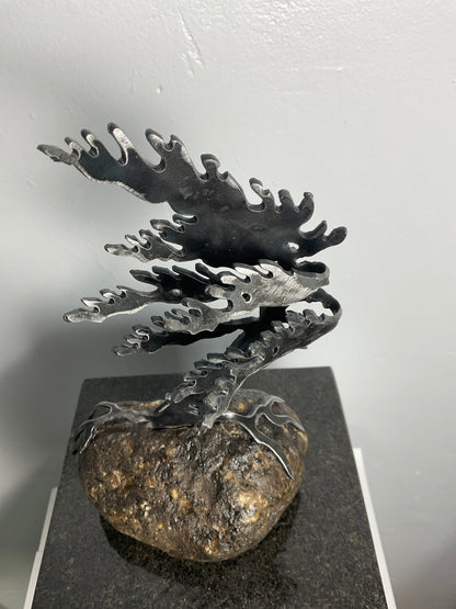 Cathy Mark windswept tree on granite