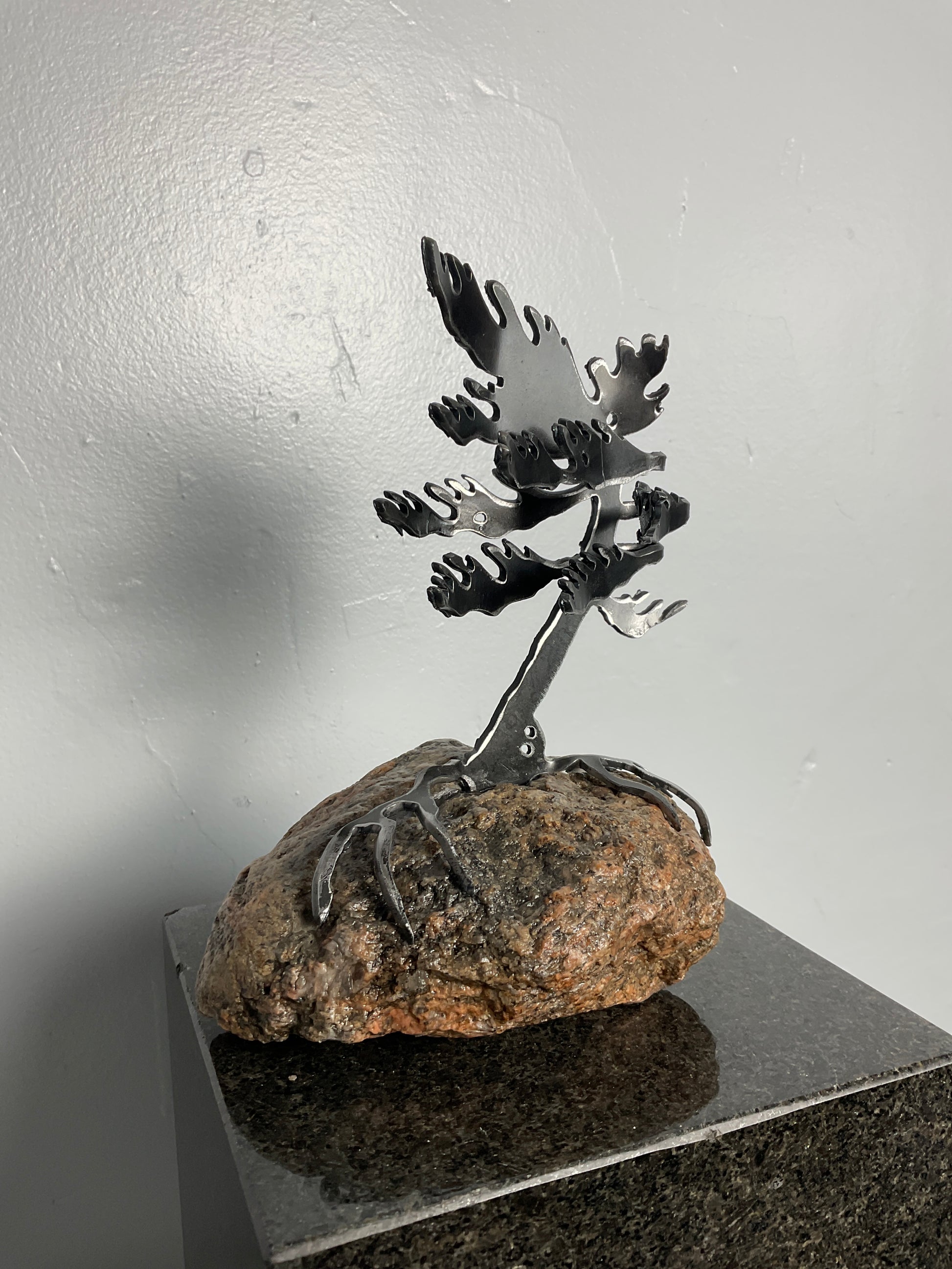 Cathy Mark windswept pine on granite