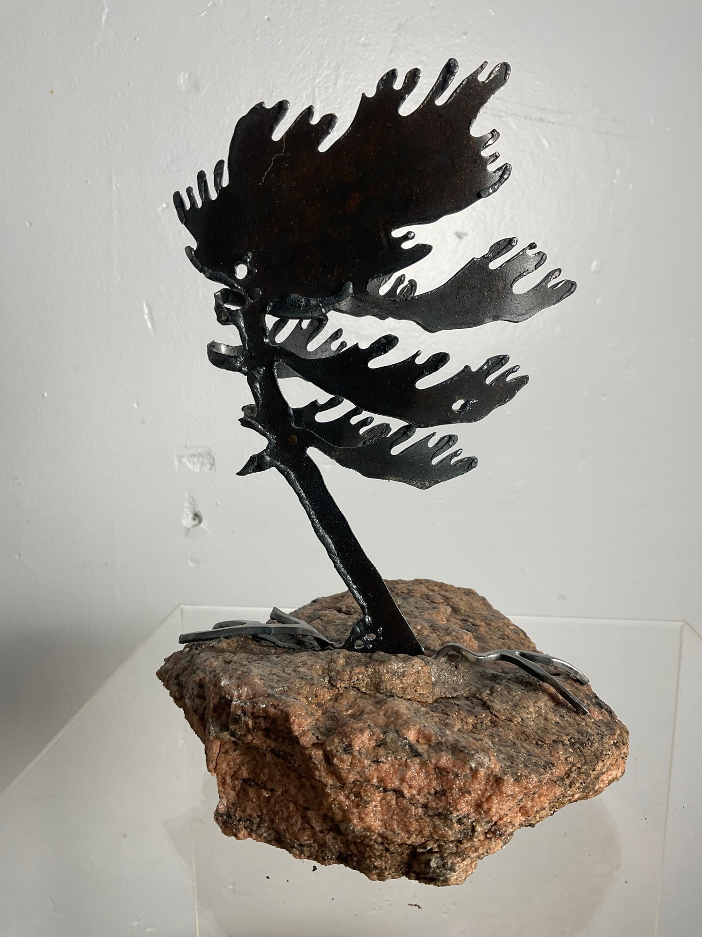 Cathy Mark windswept pine on granite
