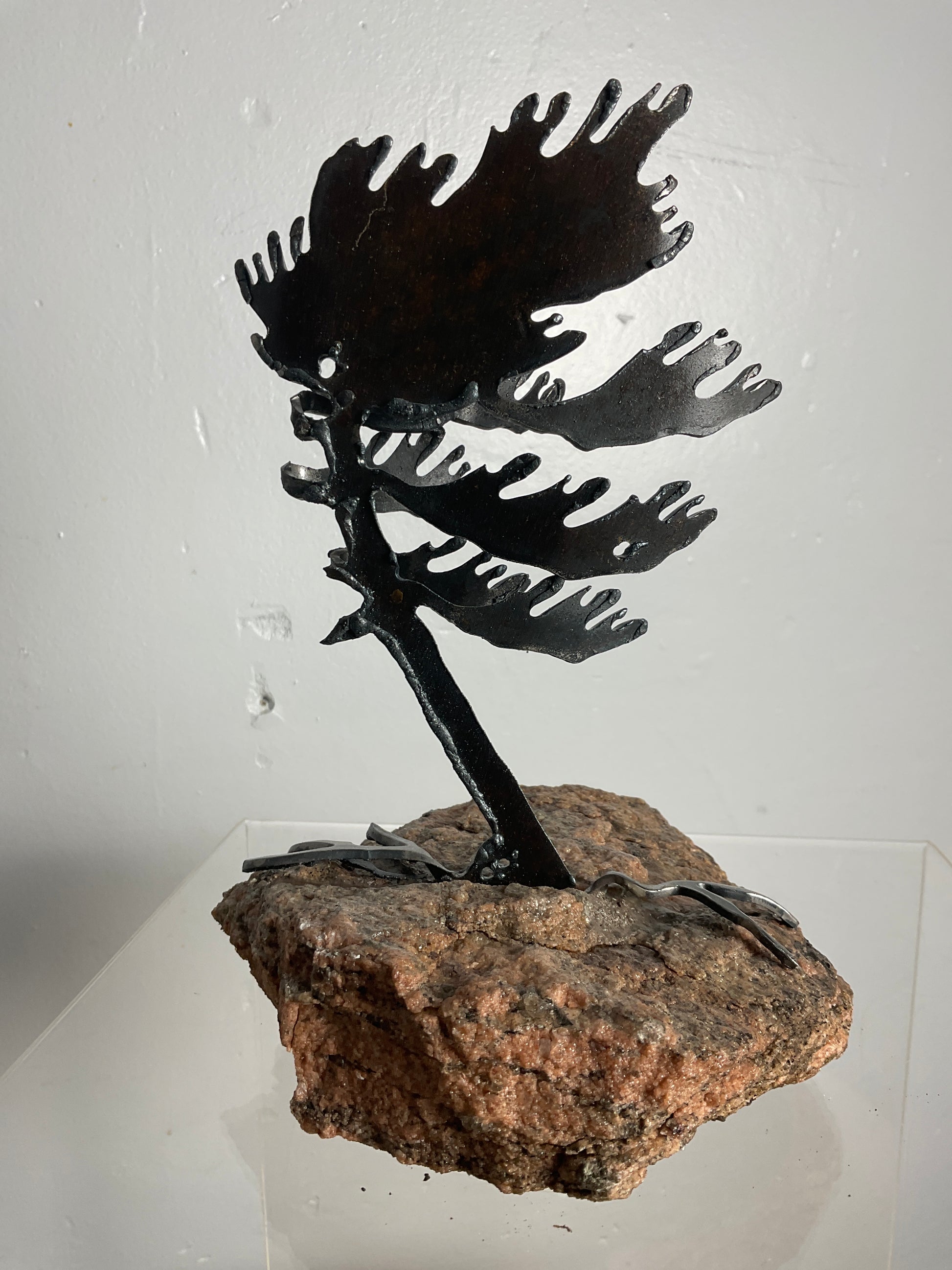 Cathy Mark windswept pine on granite