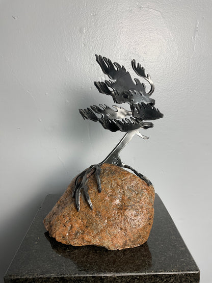 Cathy Mark windswept pine on granite