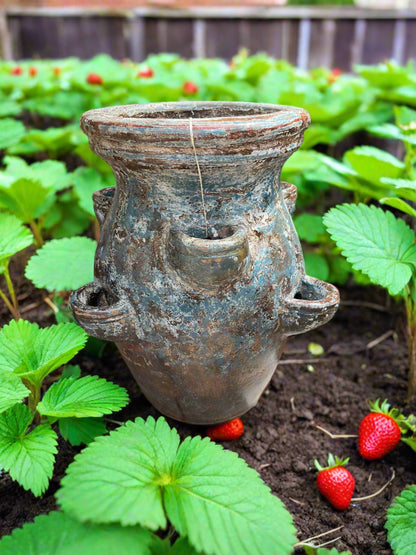 Strawberry Planter - Made in Mexico