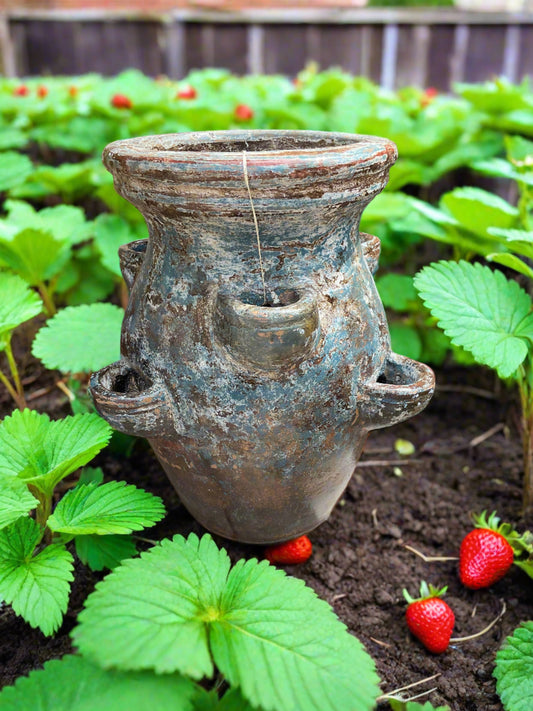 Strawberry Planter - Made in Mexico