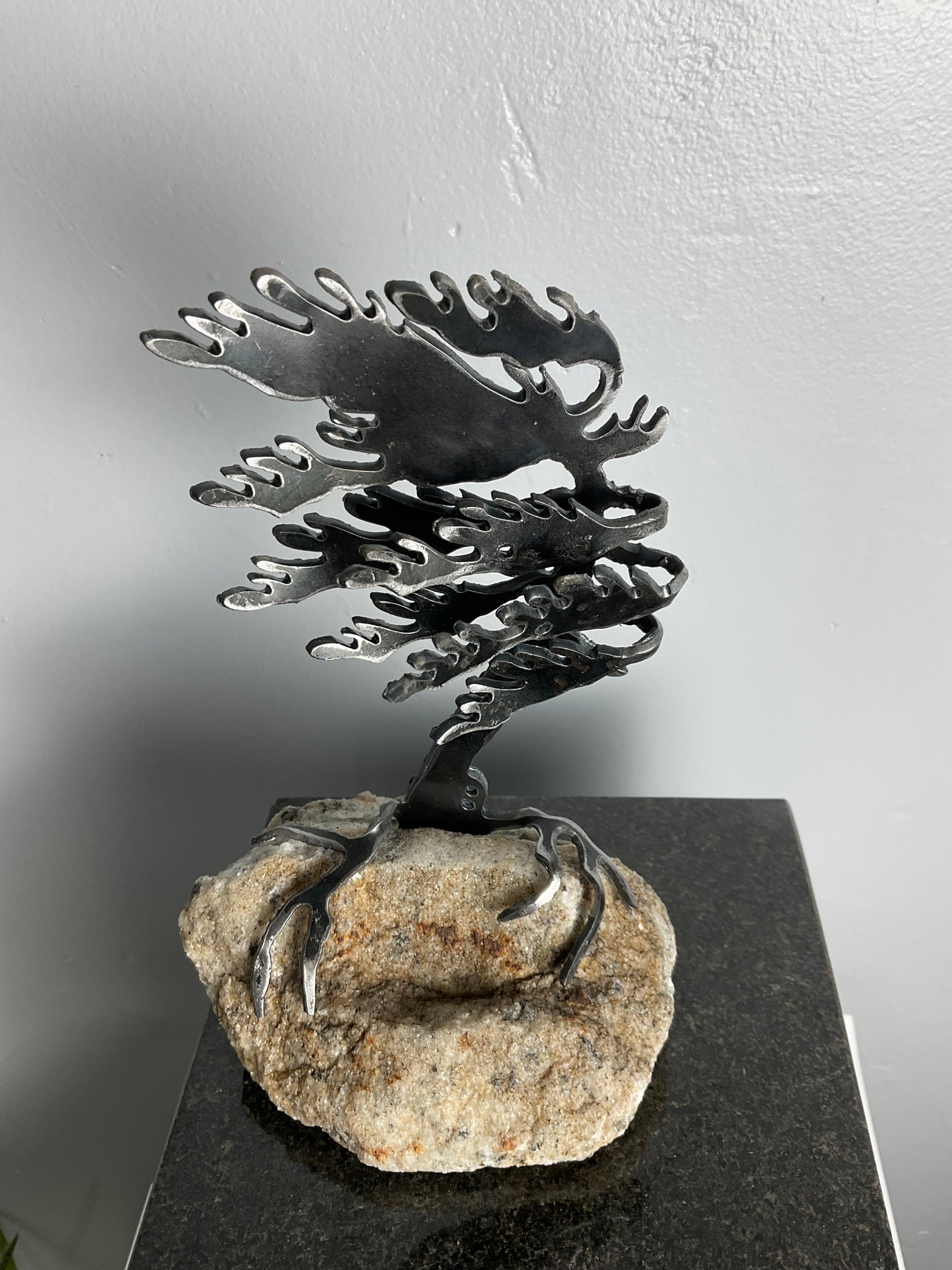 Cathy Mark windswept pine on granite
