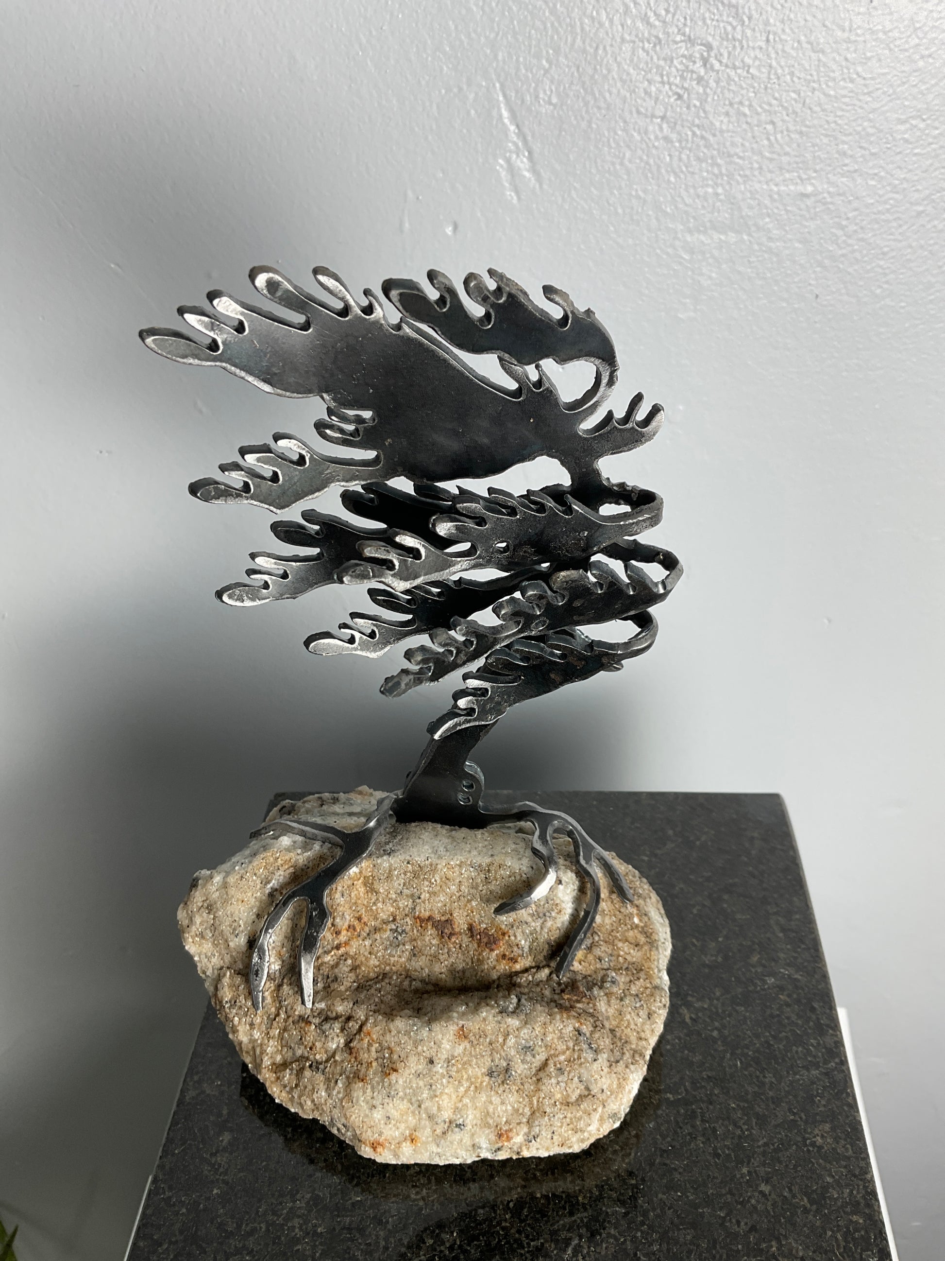 Cathy Mark windswept pine on granite