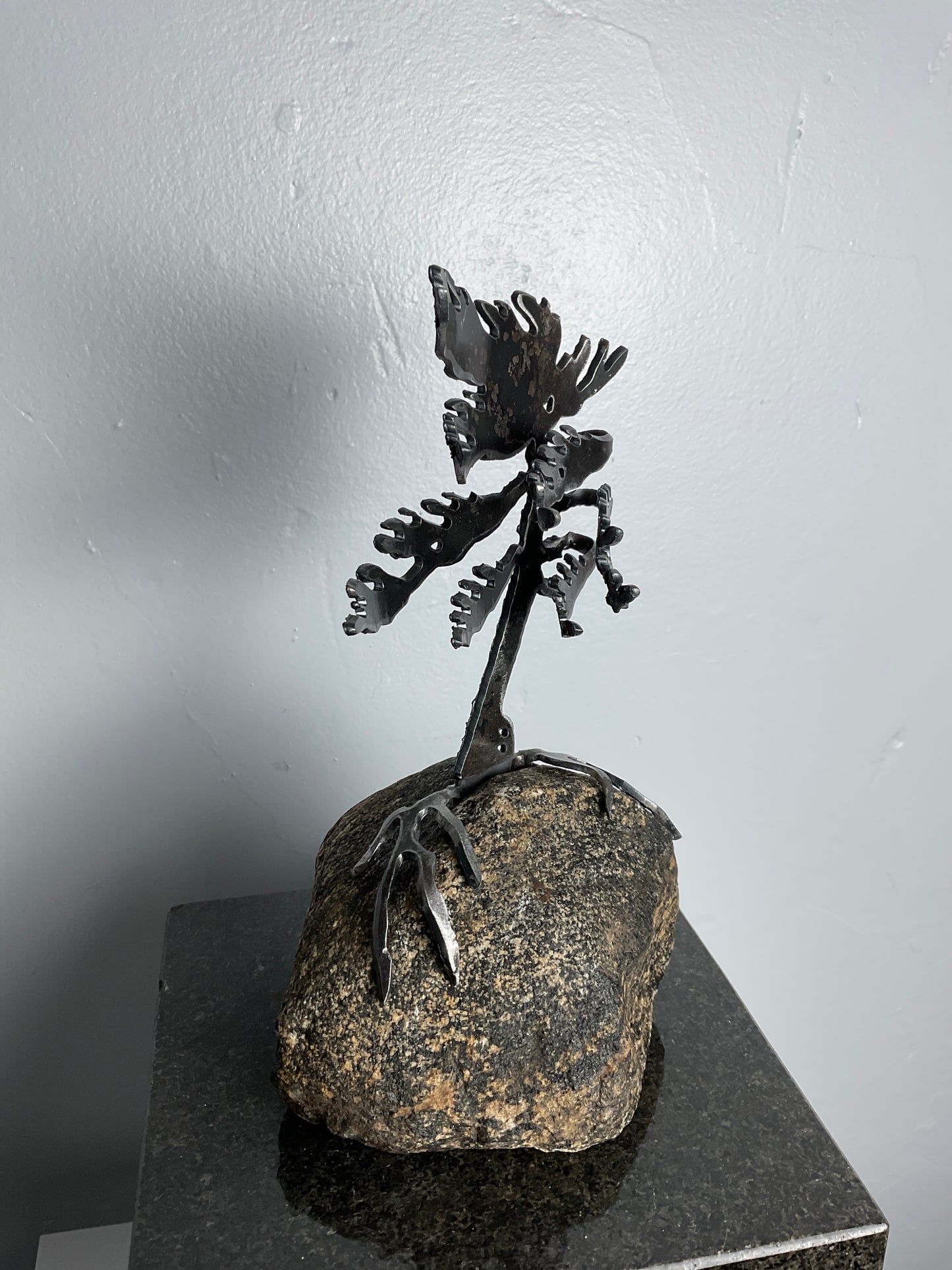 Cathy Mark windswept pine on granite