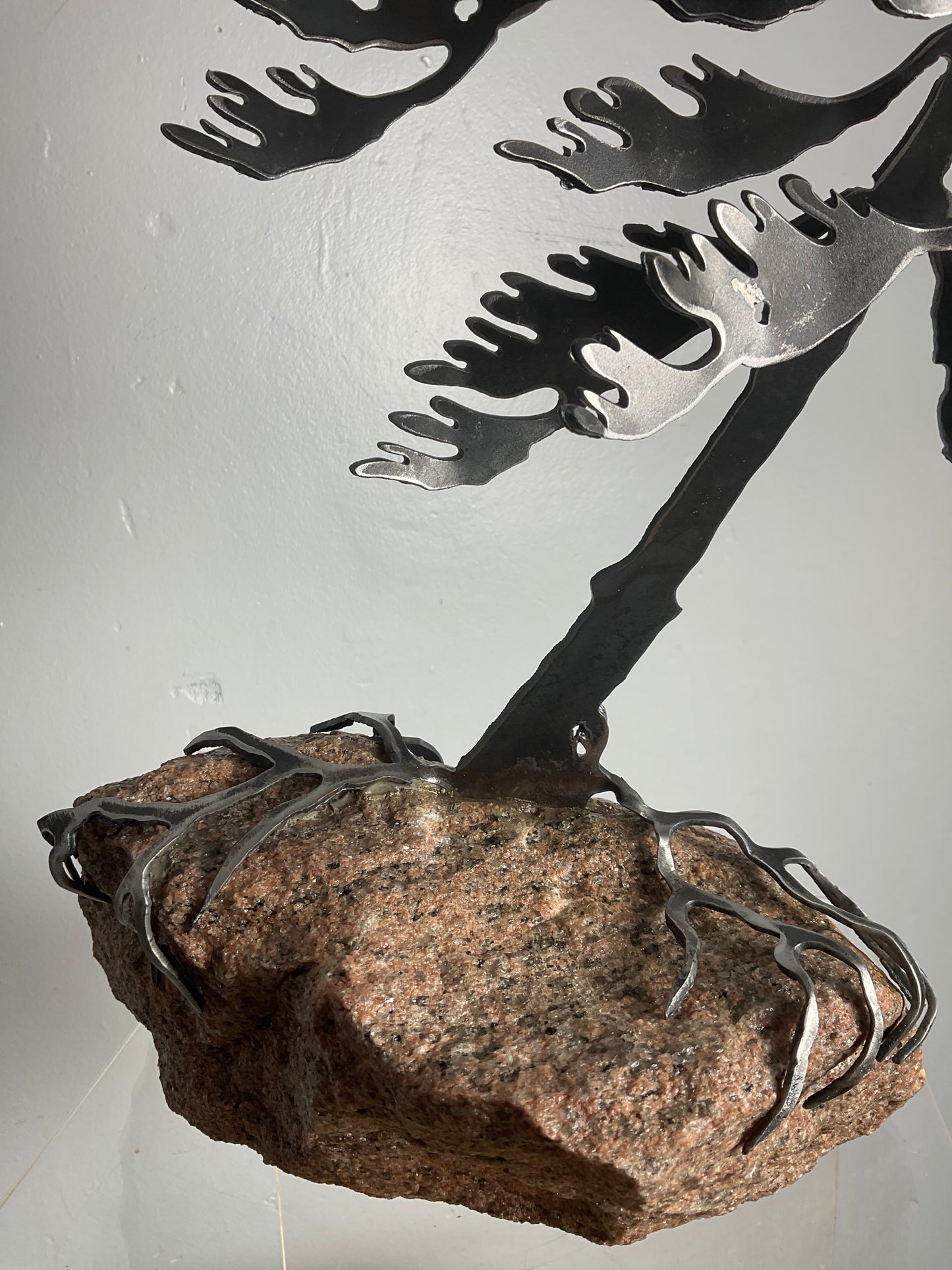 Cathy Mark windswept pine on granite