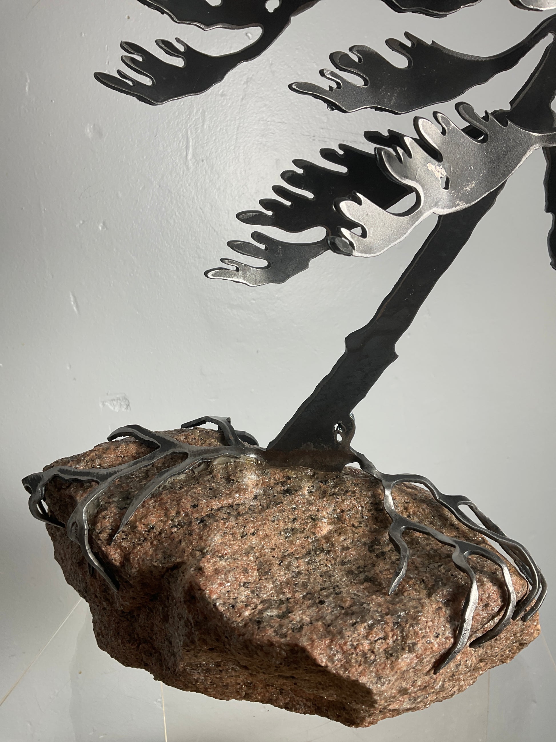 Cathy Mark windswept pine on granite