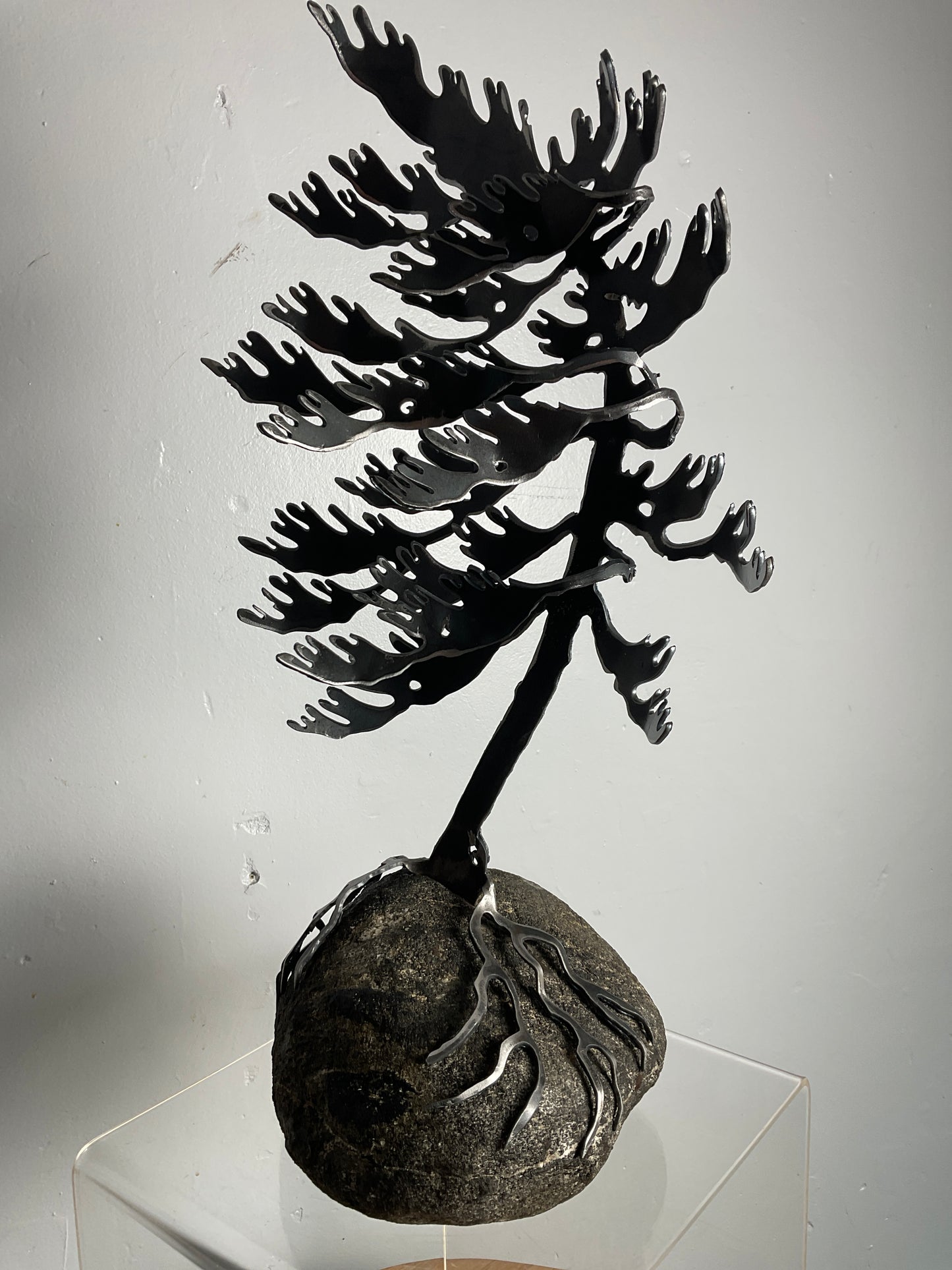 Cathy Mark windswept pine on granite