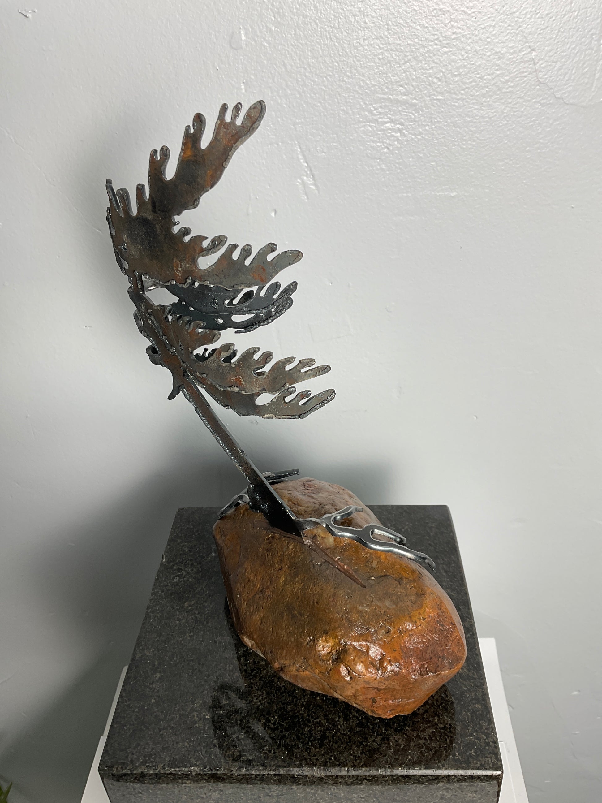 Cathy Mark windswept pine on granite