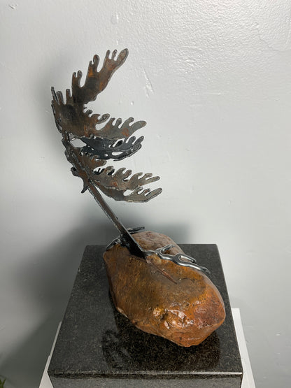 Cathy Mark windswept pine on granite
