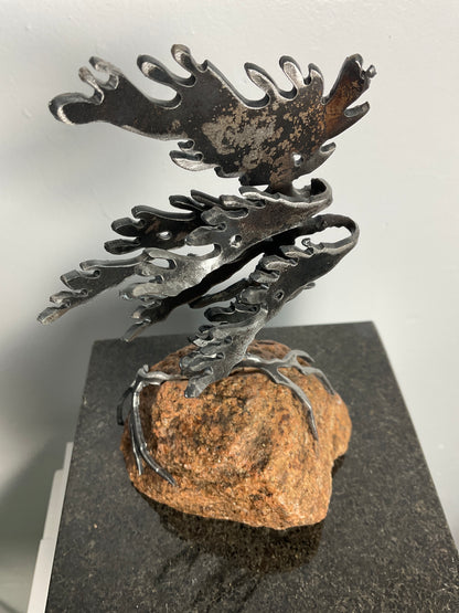 Cathy Mark windswept tree on stone